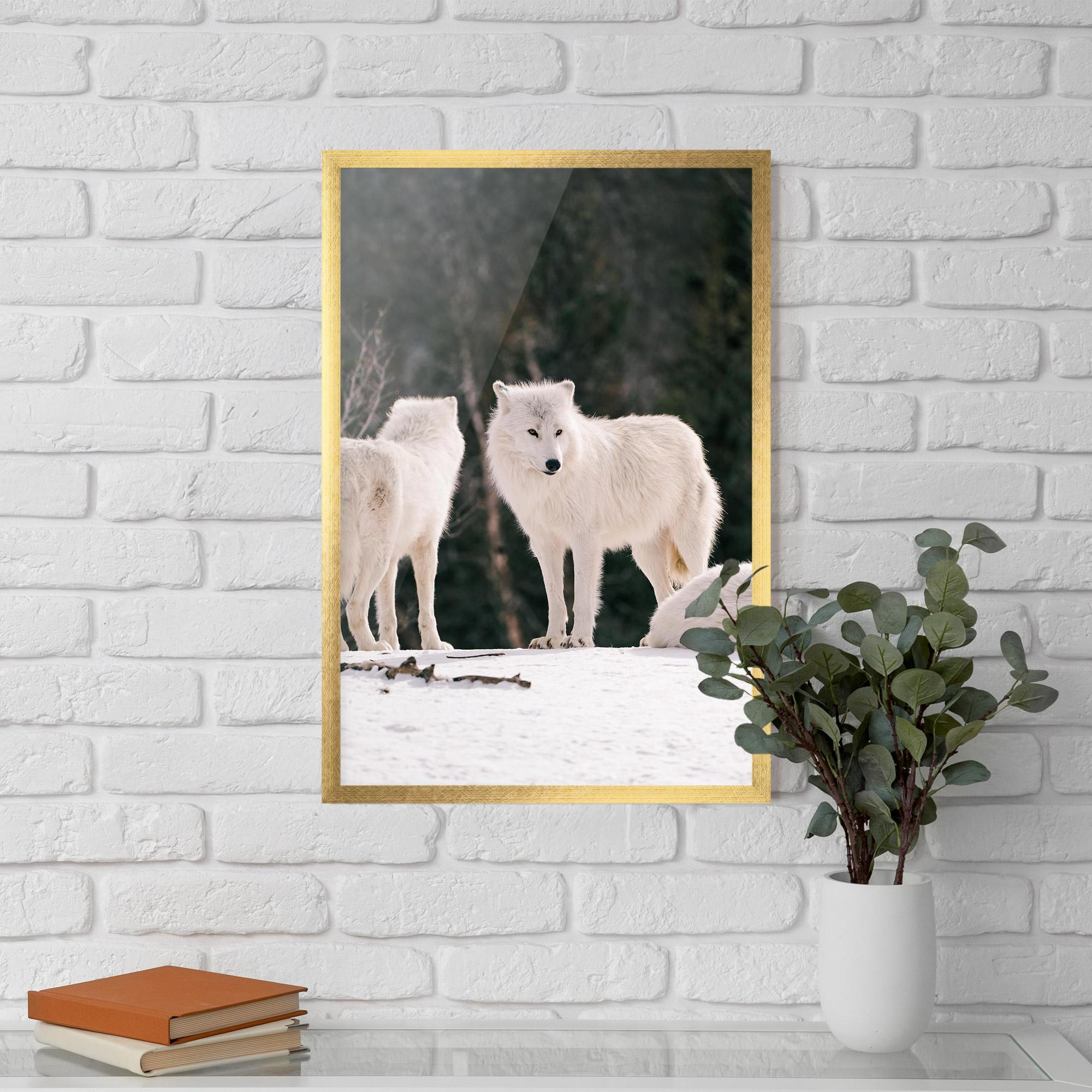 Keretezett Poszter White Wolf Waiting mockup 5