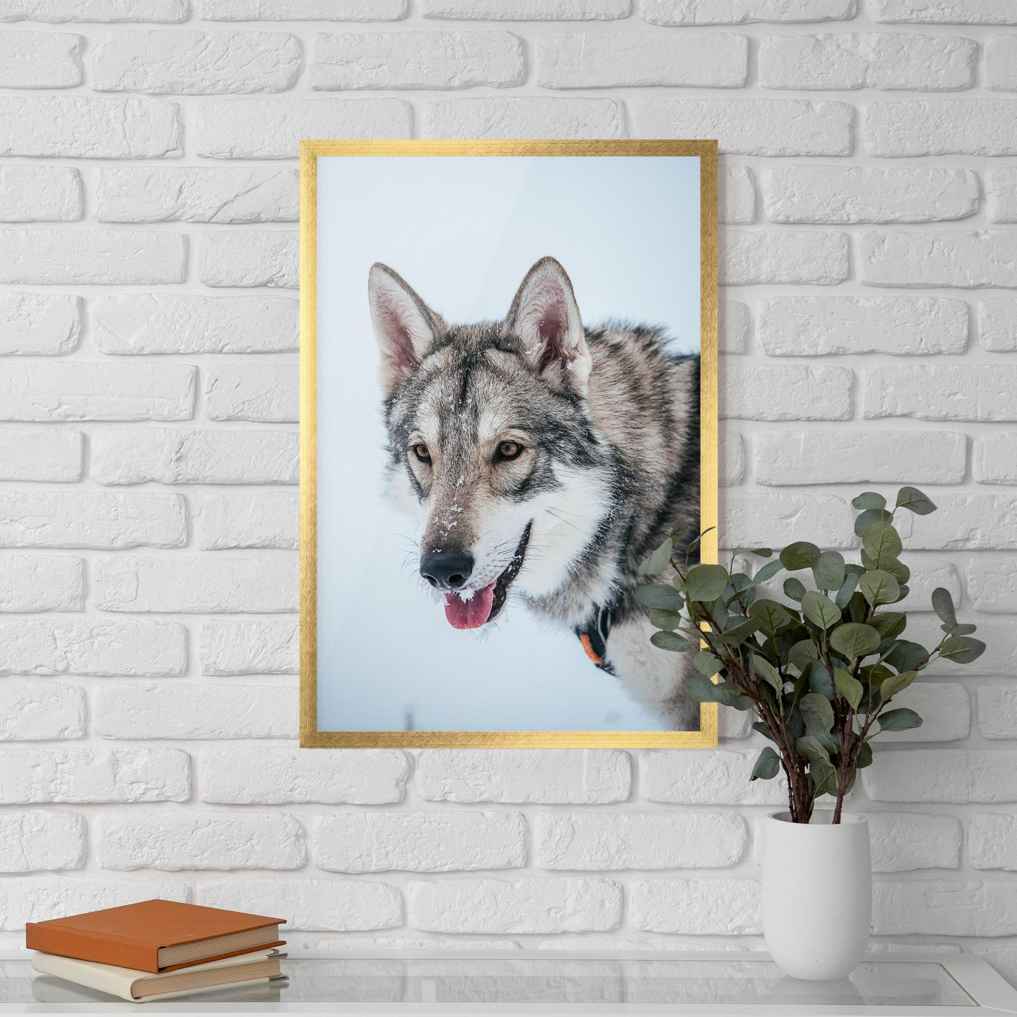 Keretezett Poszter Wolf Head mockup 5