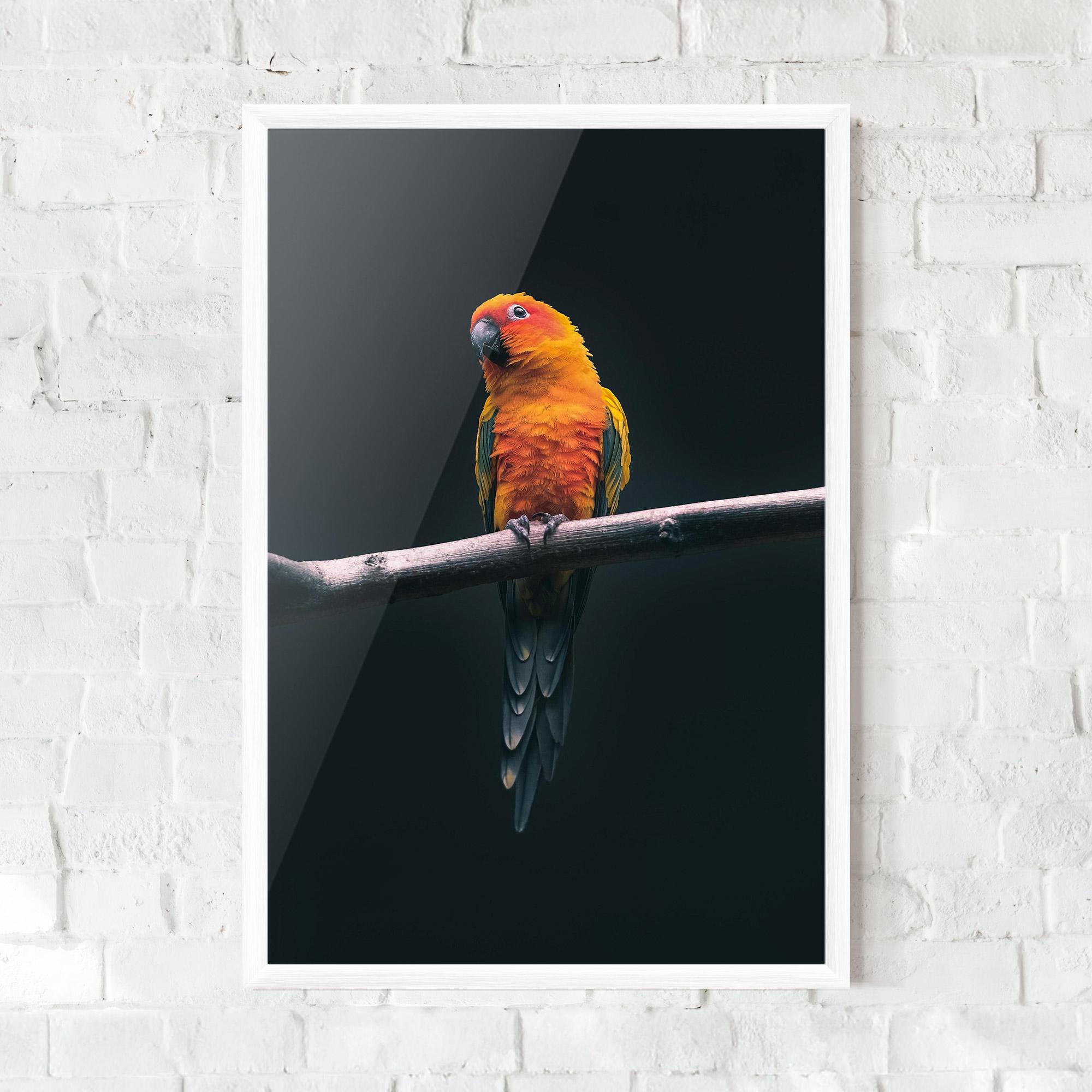 Keretezett Poszter Fire Parrot mockup 0