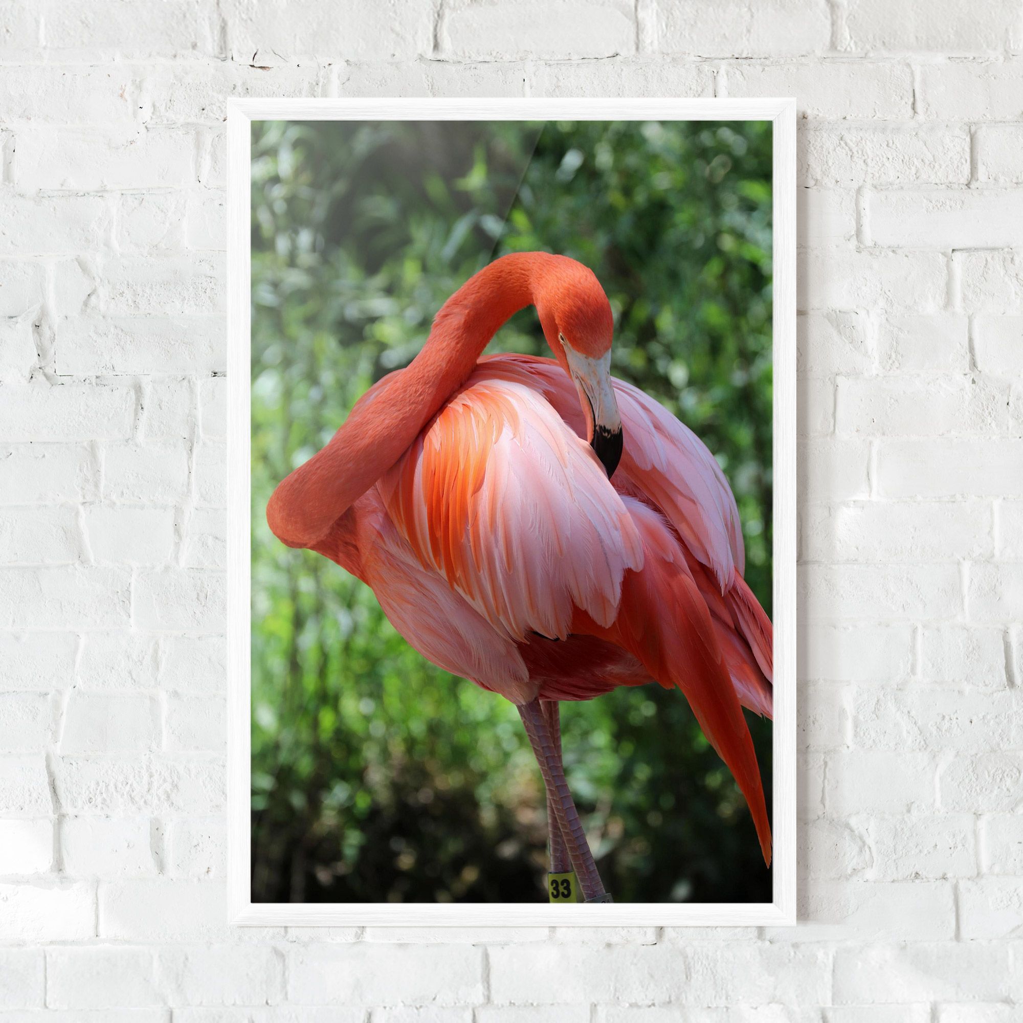 Red Flamingo mockup 0