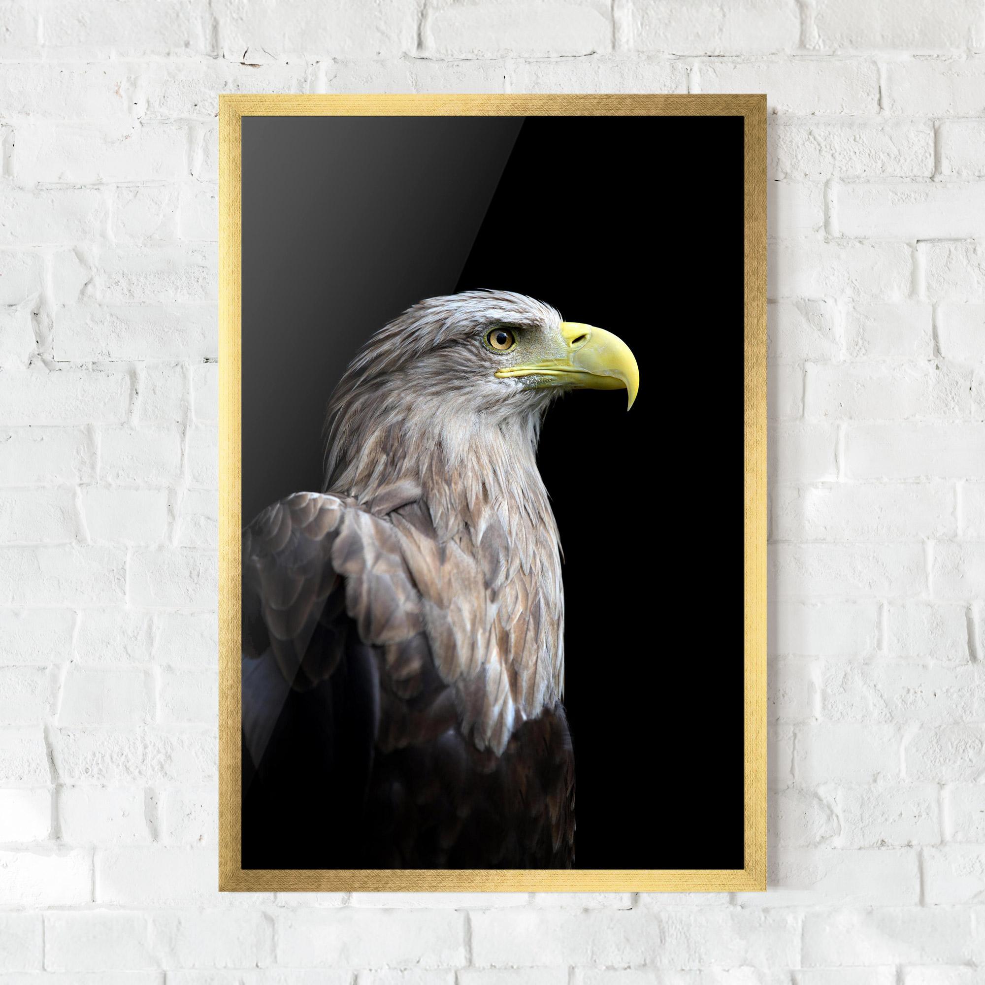 Keretezett Poszter Close Up Eagle mockup 0