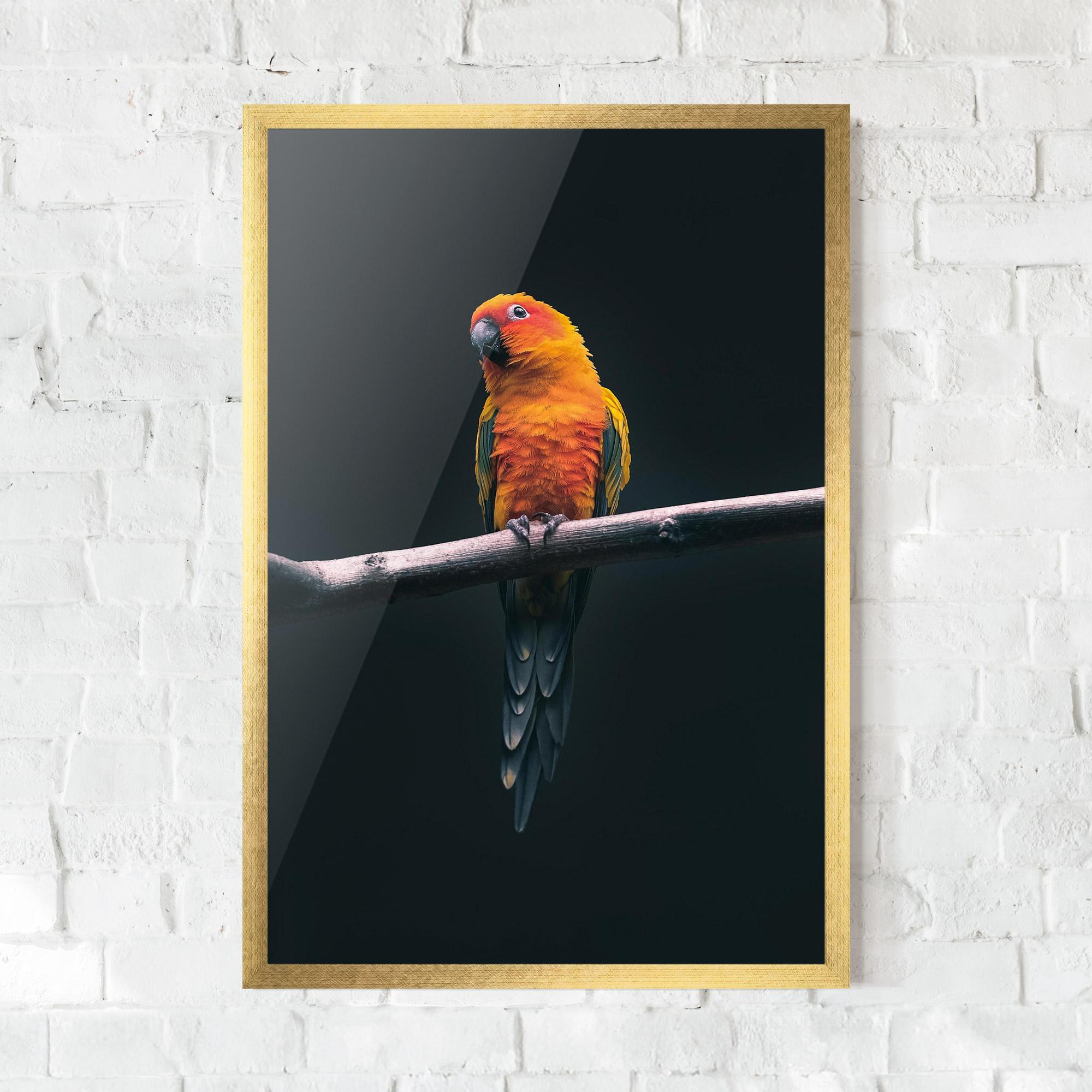 Keretezett Poszter Fire Parrot mockup 0