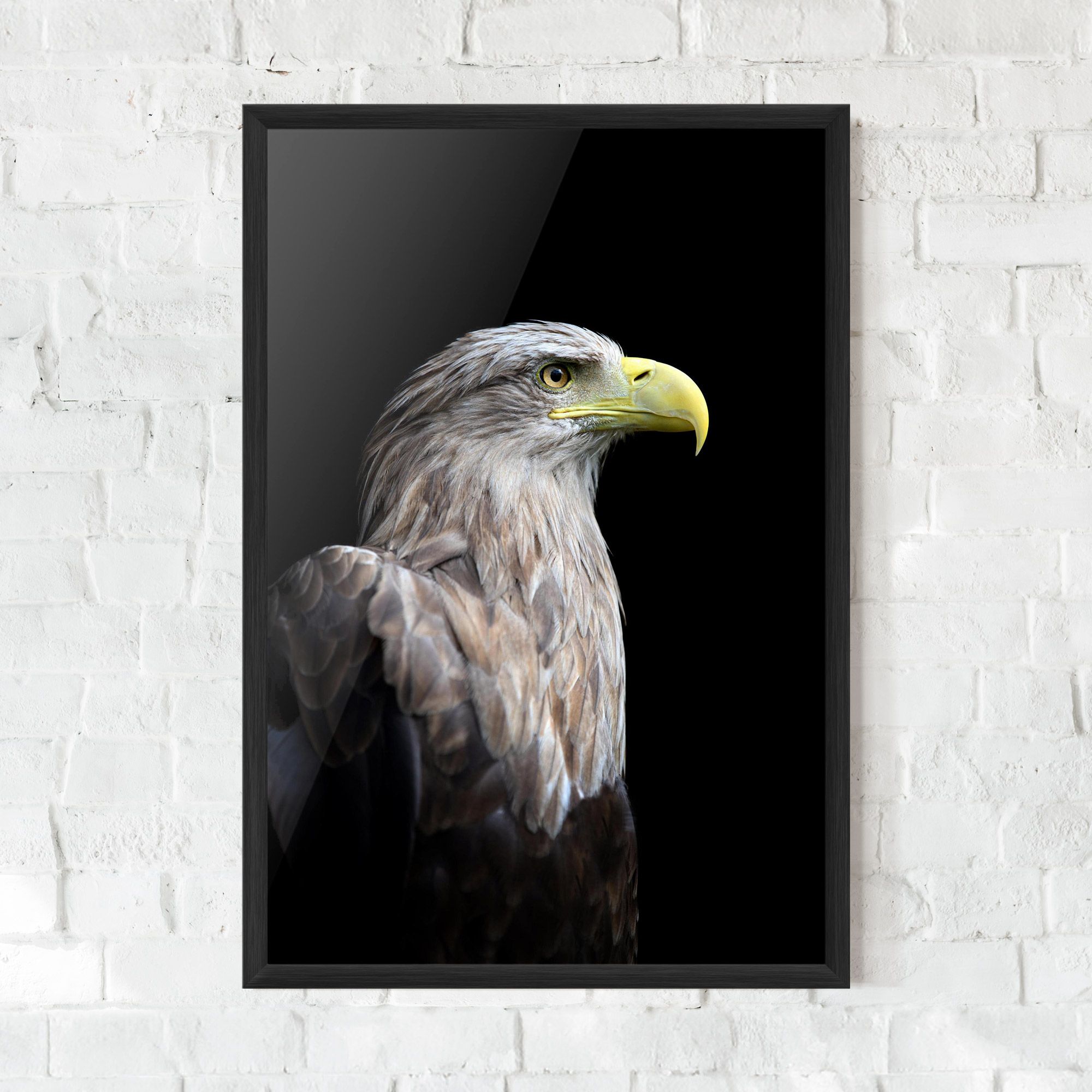Close Up Eagle mockup 0
