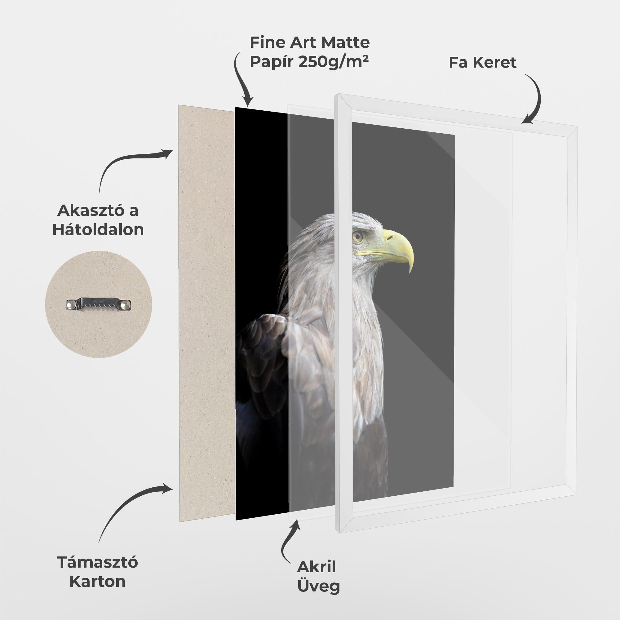 Keretezett Poszter Close Up Eagle mockup 1