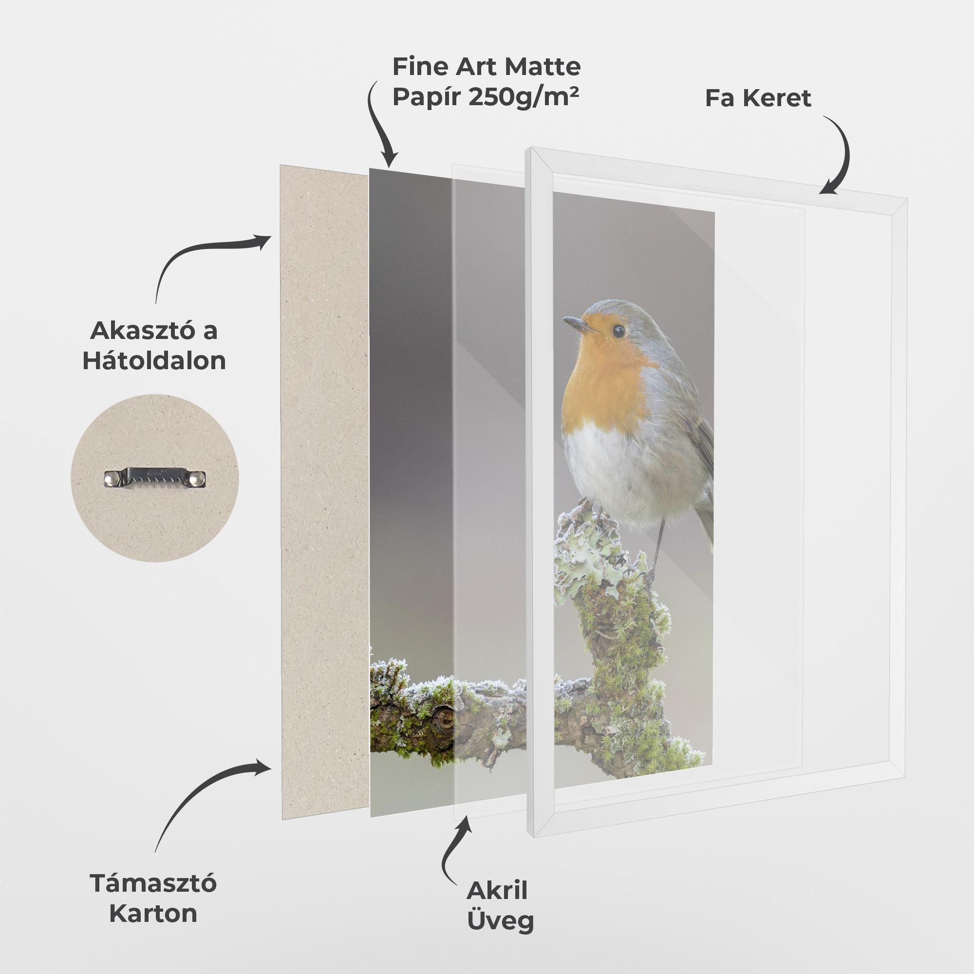 Keretezett Poszter Erithacus Bird mockup 1