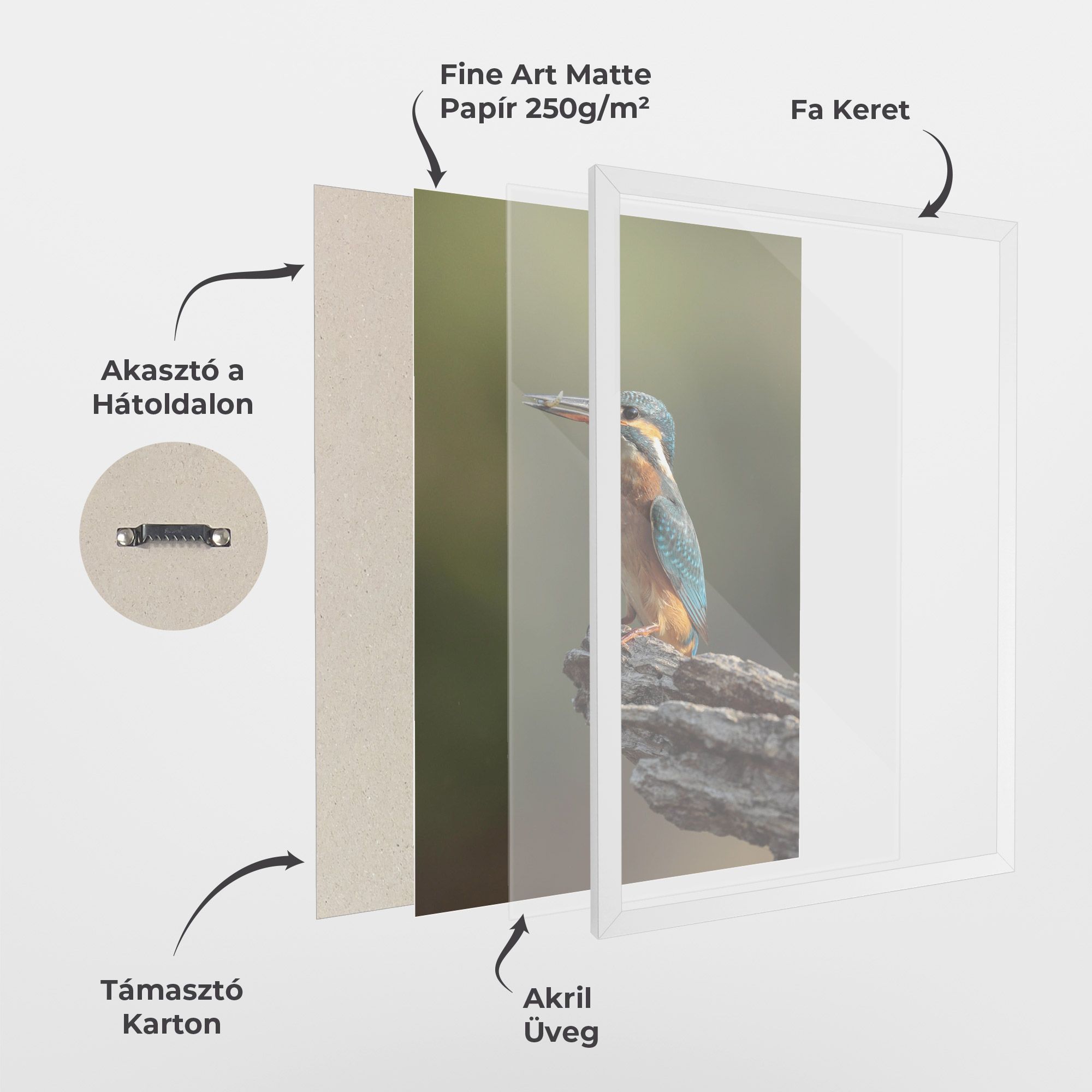 Female Kingfisher mockup 1