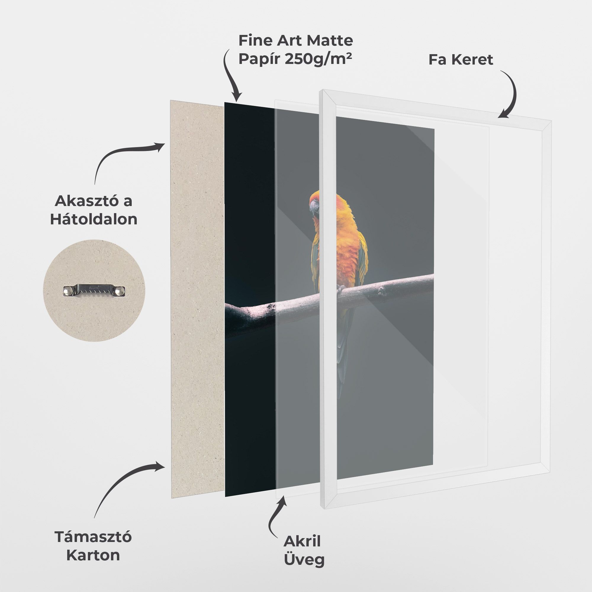 Fire Parrot mockup 1