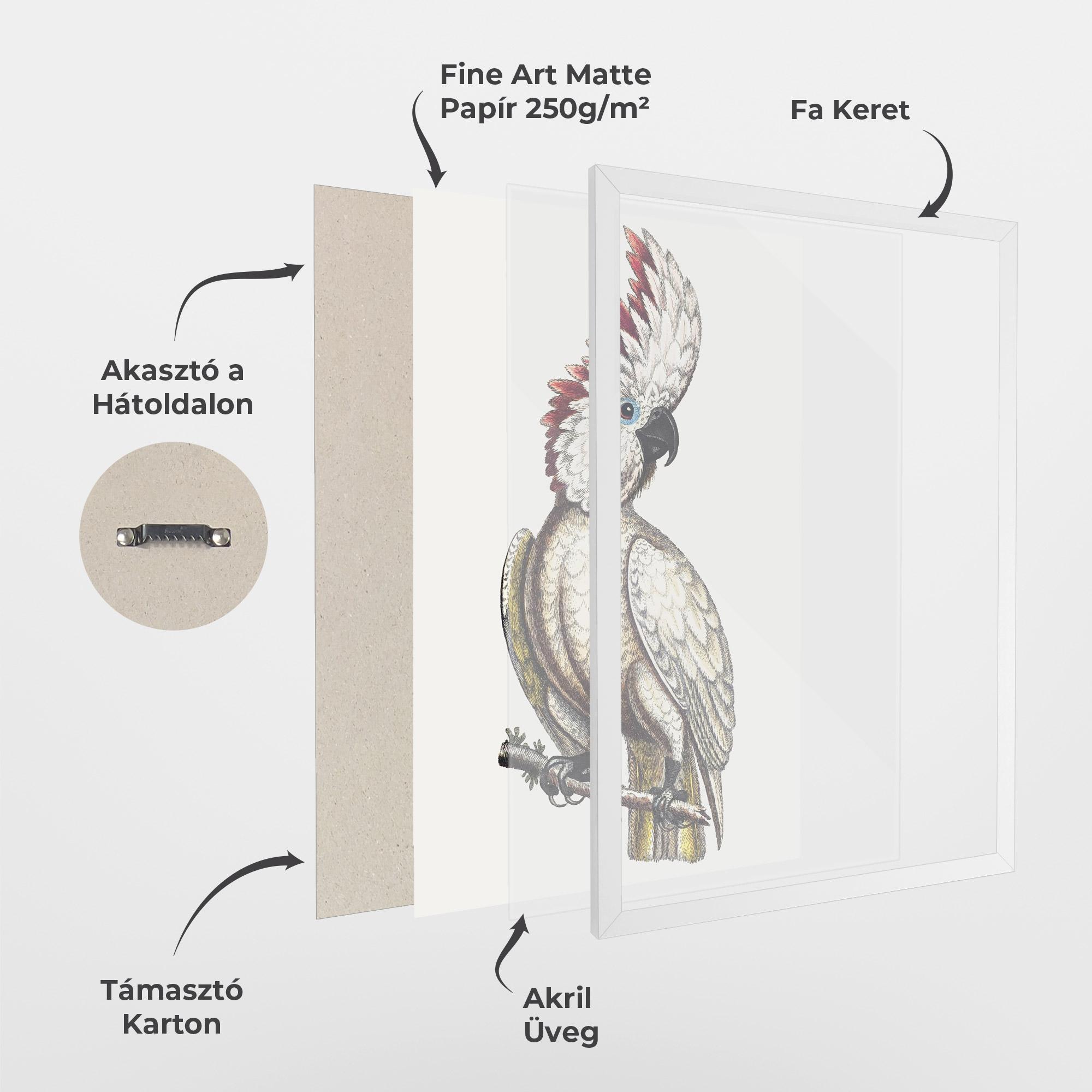 Keretezett Poszter Interesting Bird mockup 1