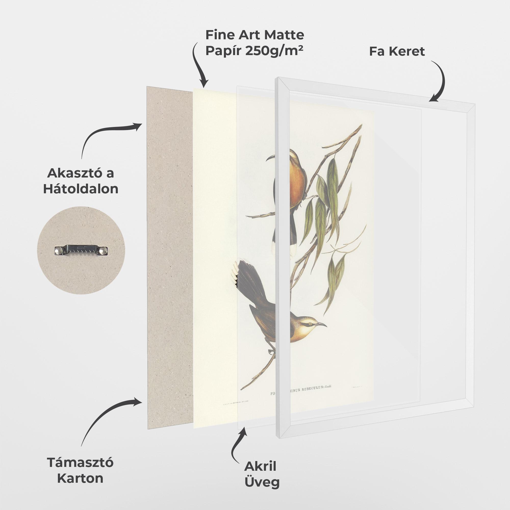 Keretezett Poszter Red Pomatorhinus mockup 1