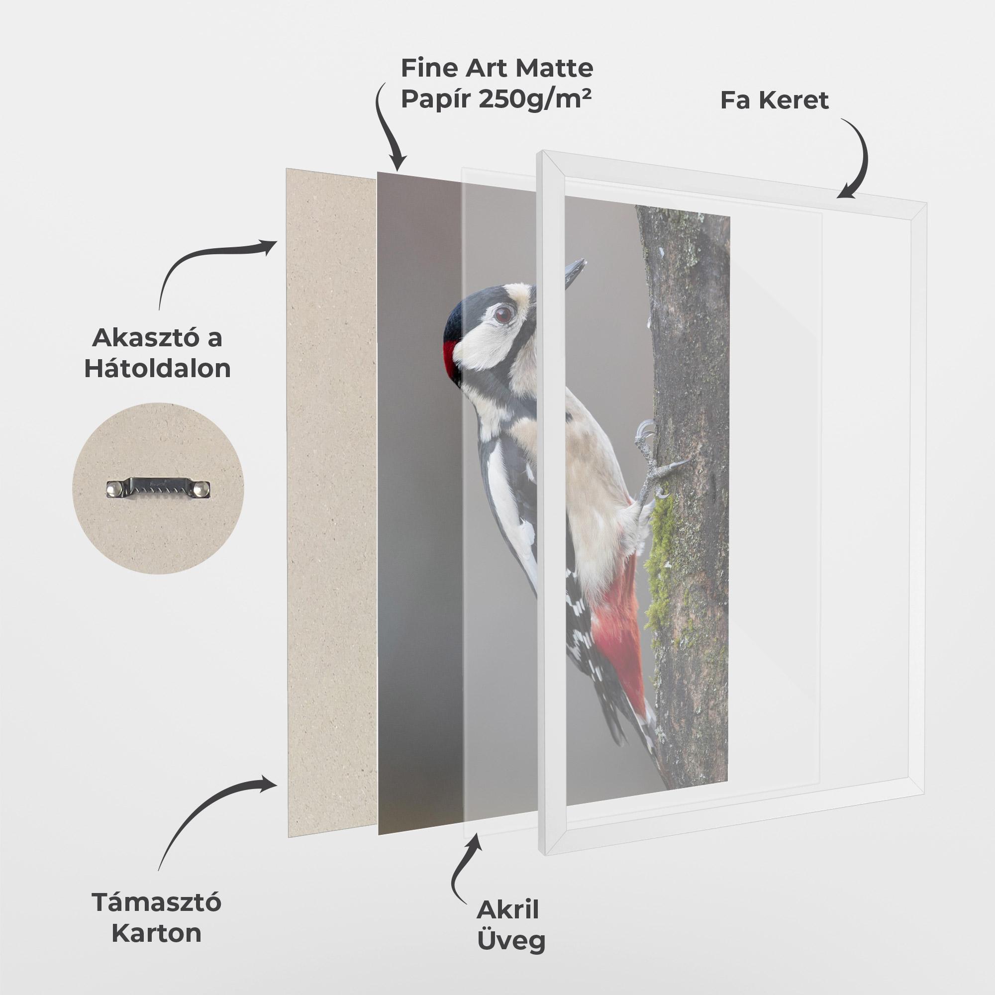 Keretezett Poszter Woodpecker mockup 1