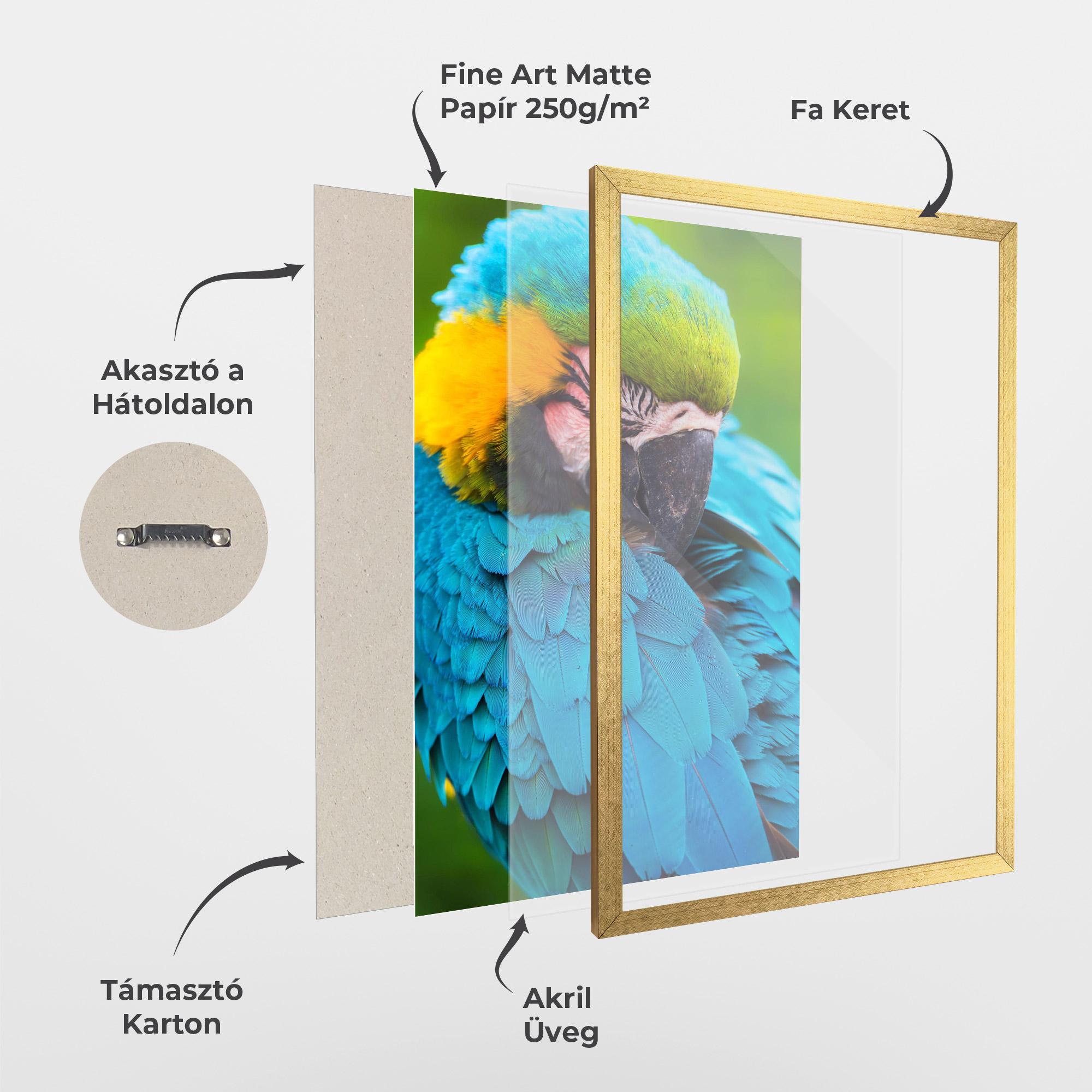 Keretezett Poszter Blue Parrot mockup 1