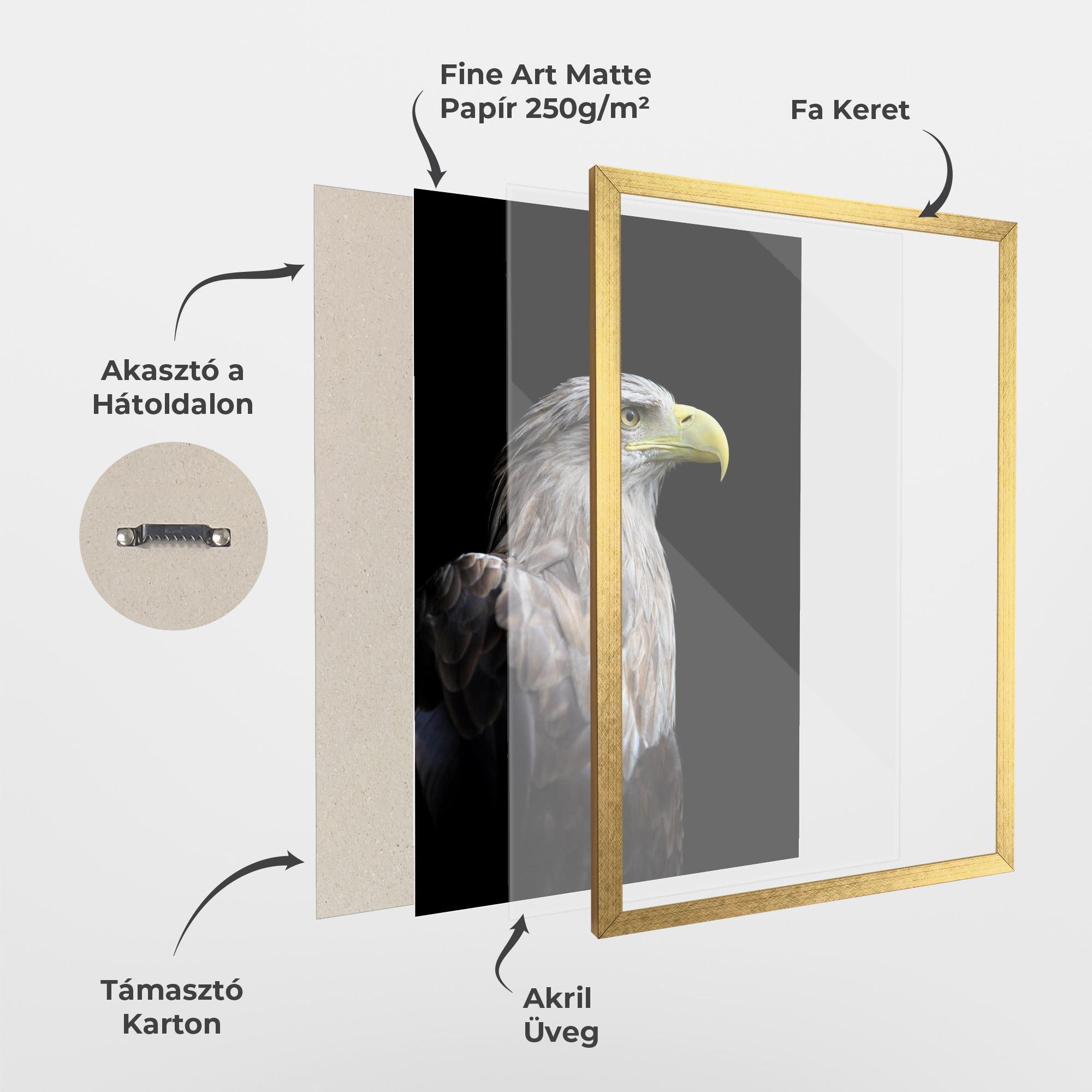 Keretezett Poszter Close Up Eagle mockup 1