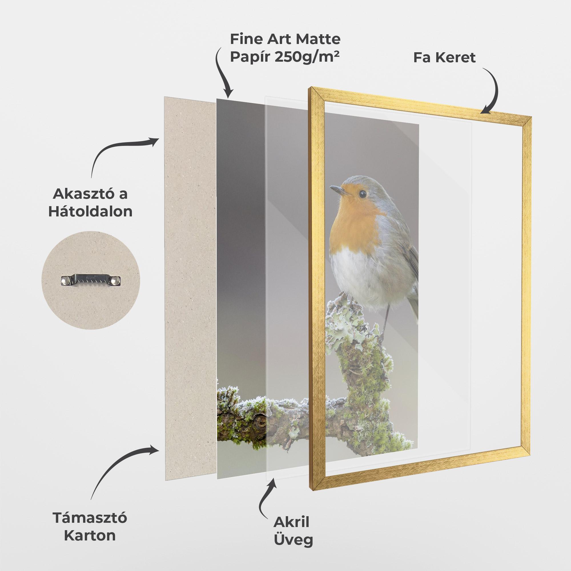 Keretezett Poszter Erithacus Bird mockup 1