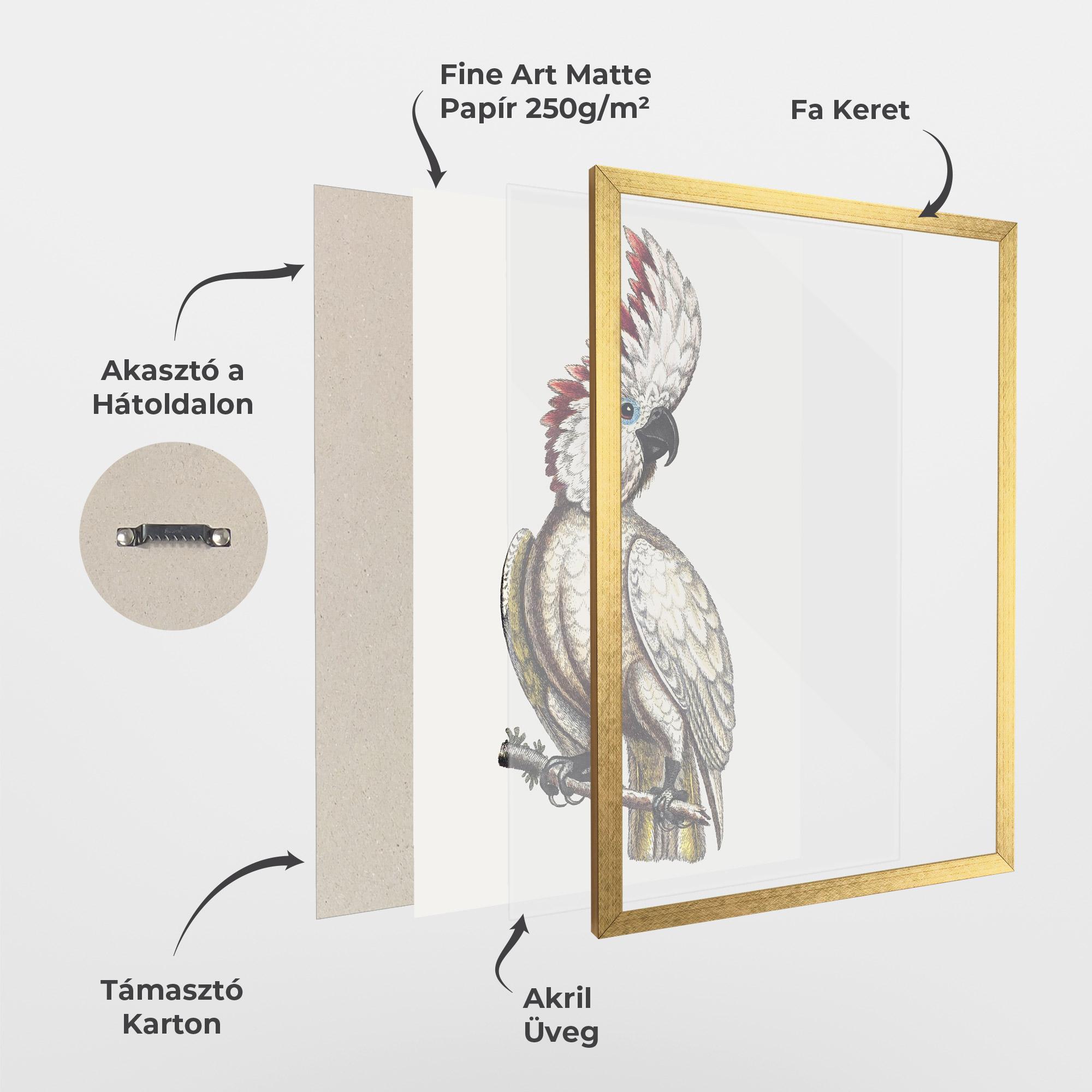 Keretezett Poszter Interesting Bird mockup 1