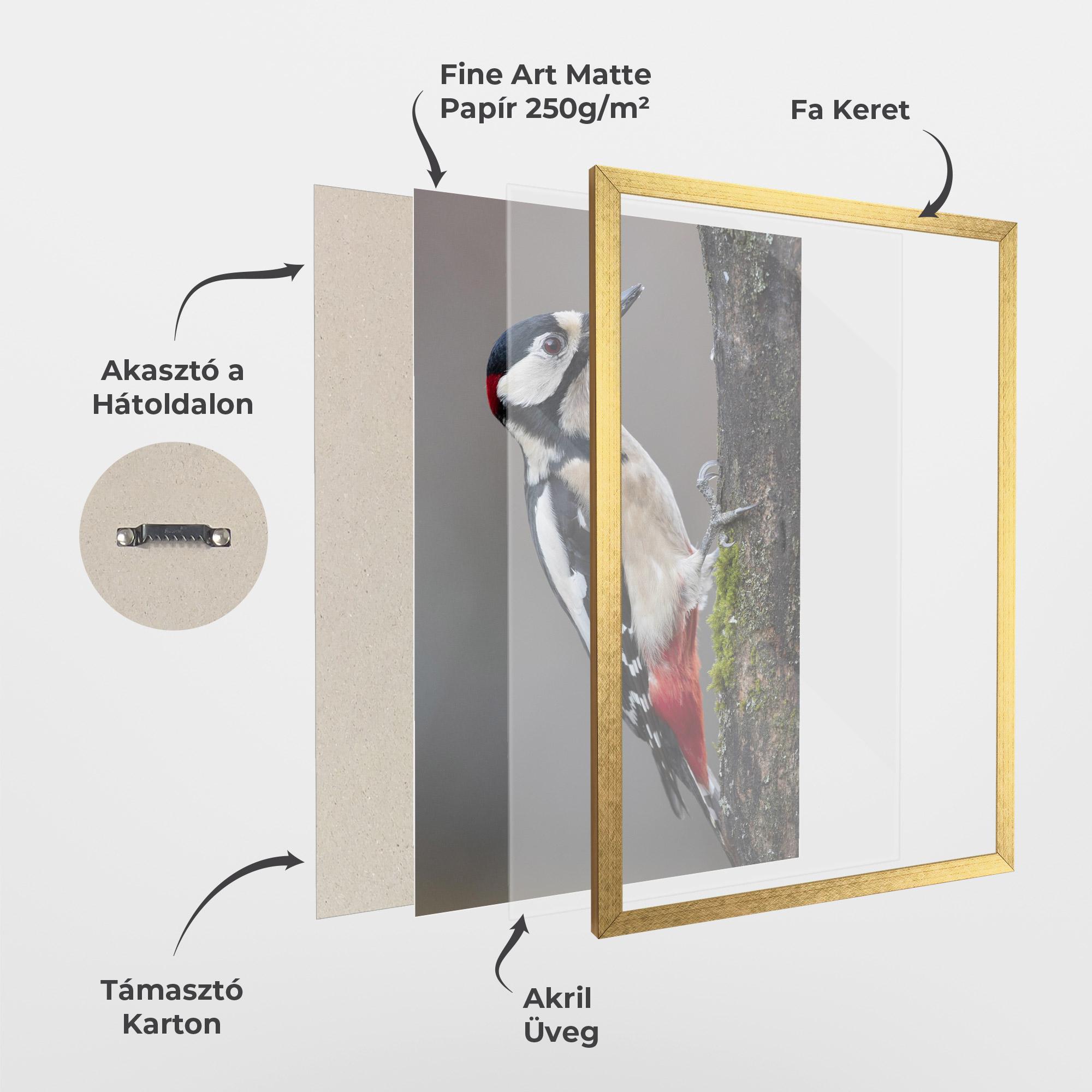 Keretezett Poszter Woodpecker mockup 1