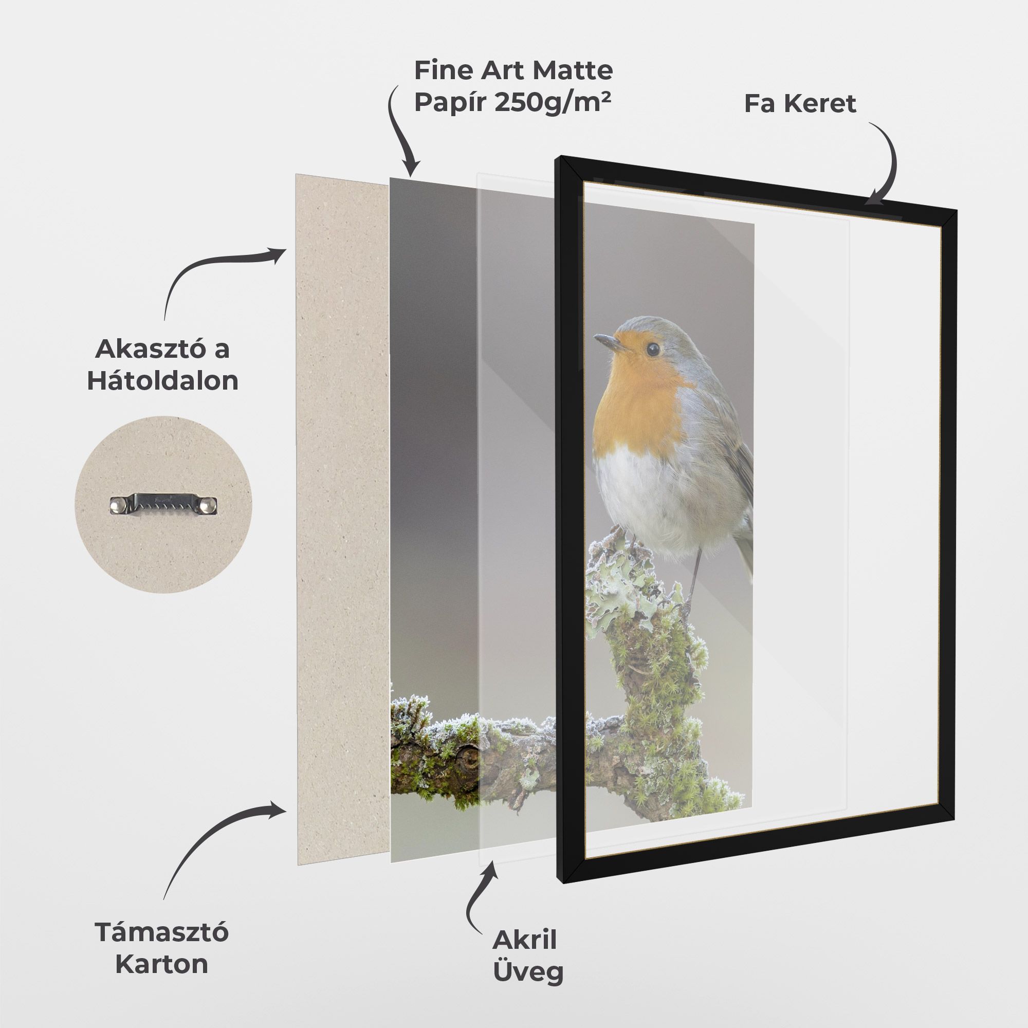 Erithacus Bird mockup 1