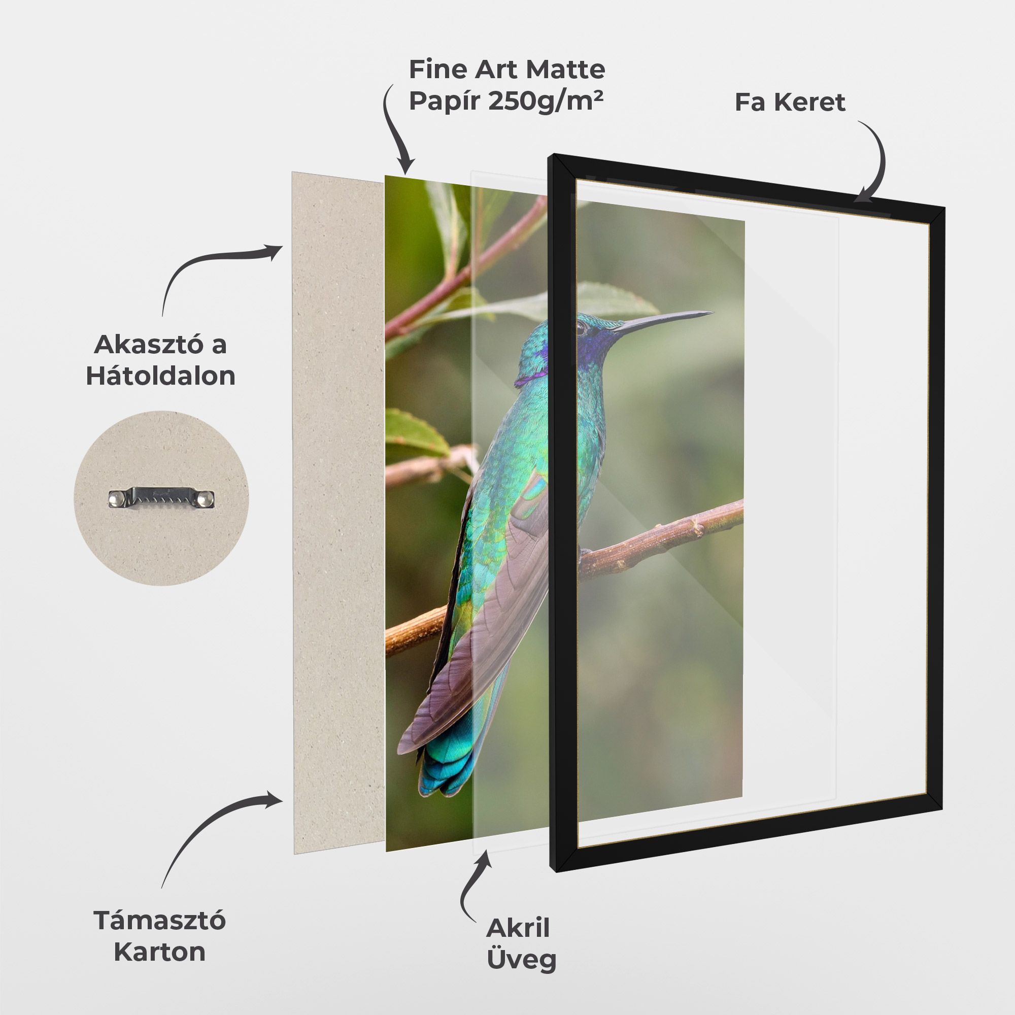 Green Bird mockup 1