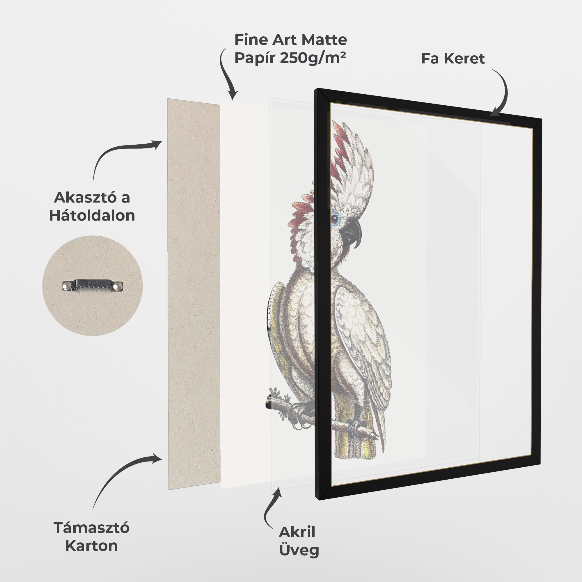 Interesting Bird mockup 1