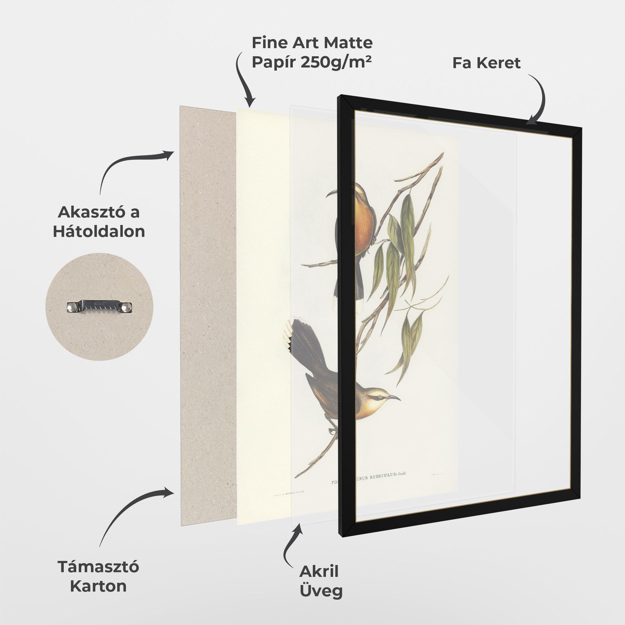 Keretezett Poszter Red Pomatorhinus mockup 1