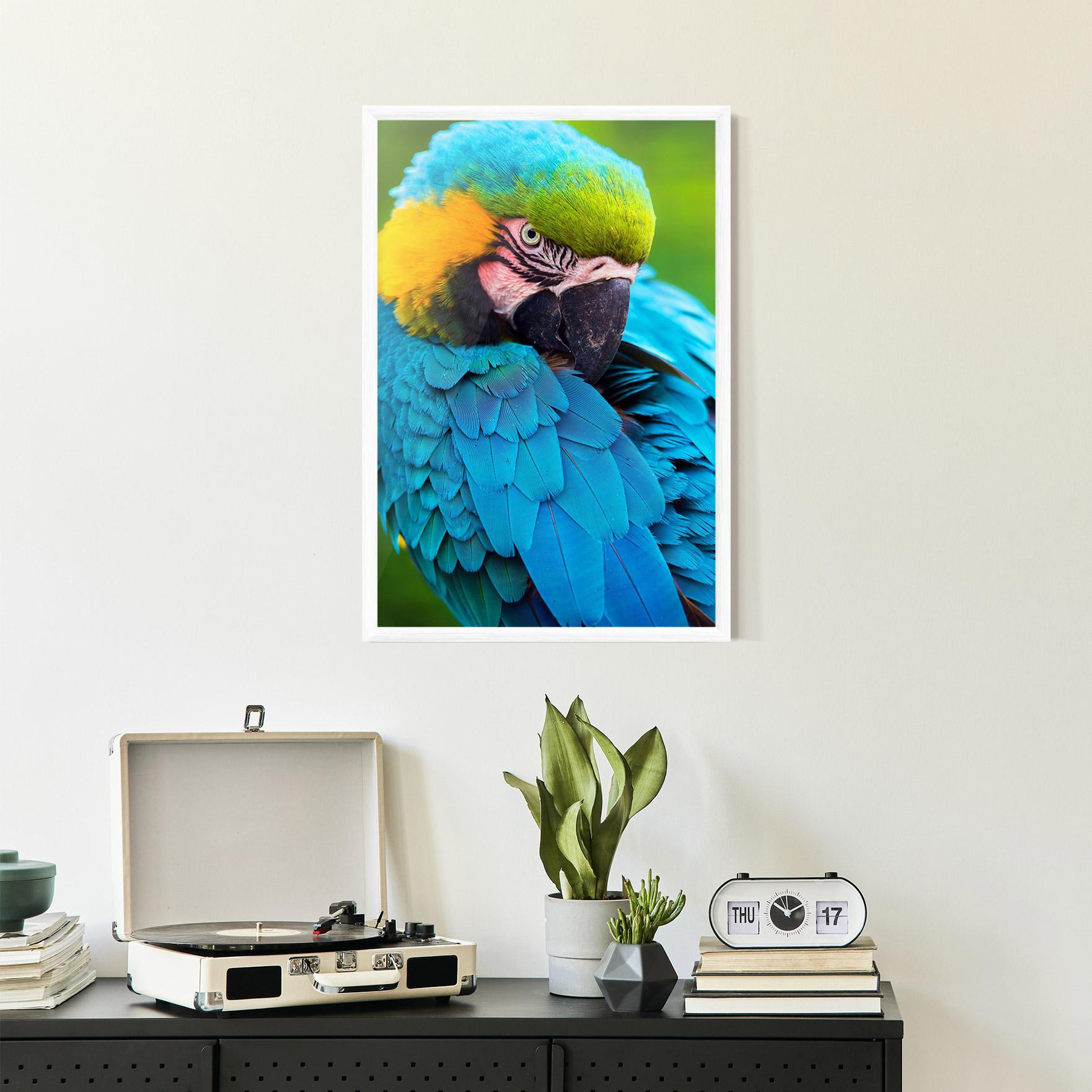 Keretezett Poszter Blue Parrot mockup 2