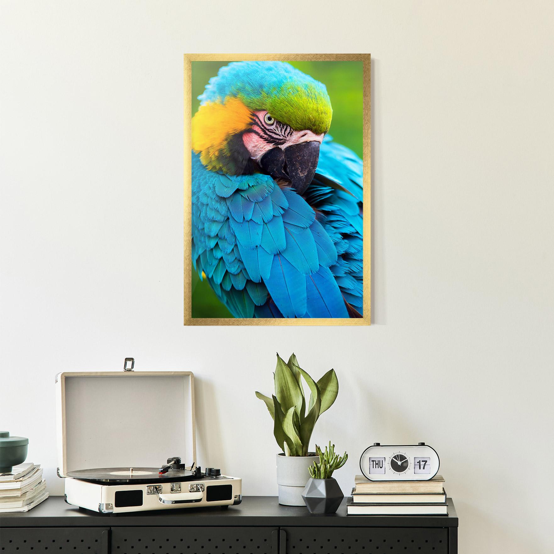 Keretezett Poszter Blue Parrot mockup 2