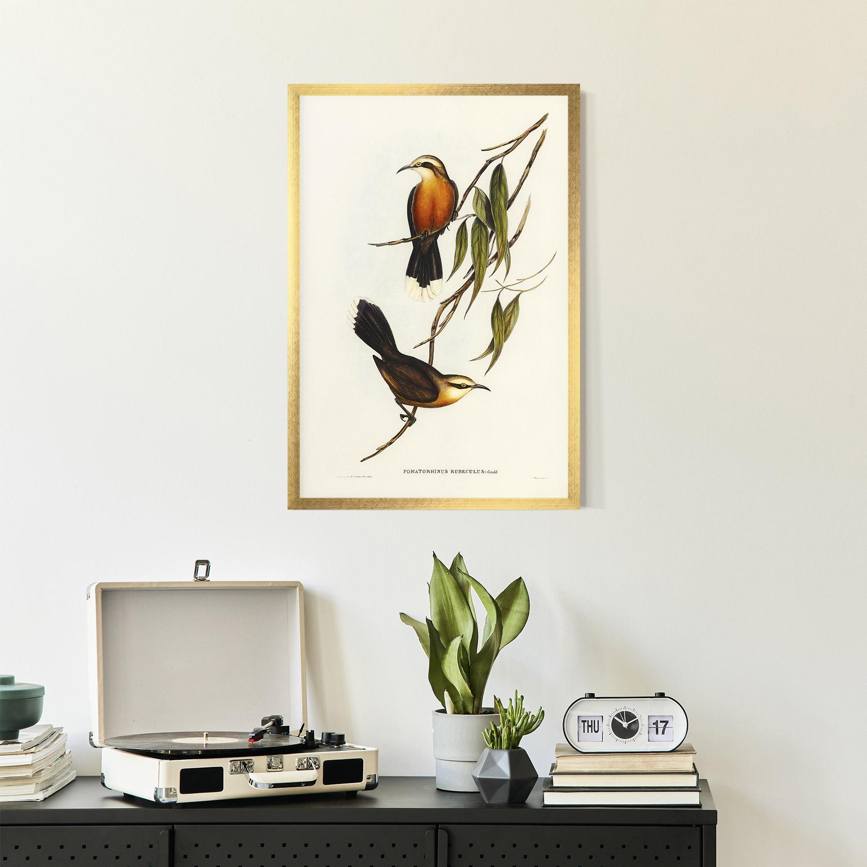 Keretezett Poszter Red Pomatorhinus mockup 2