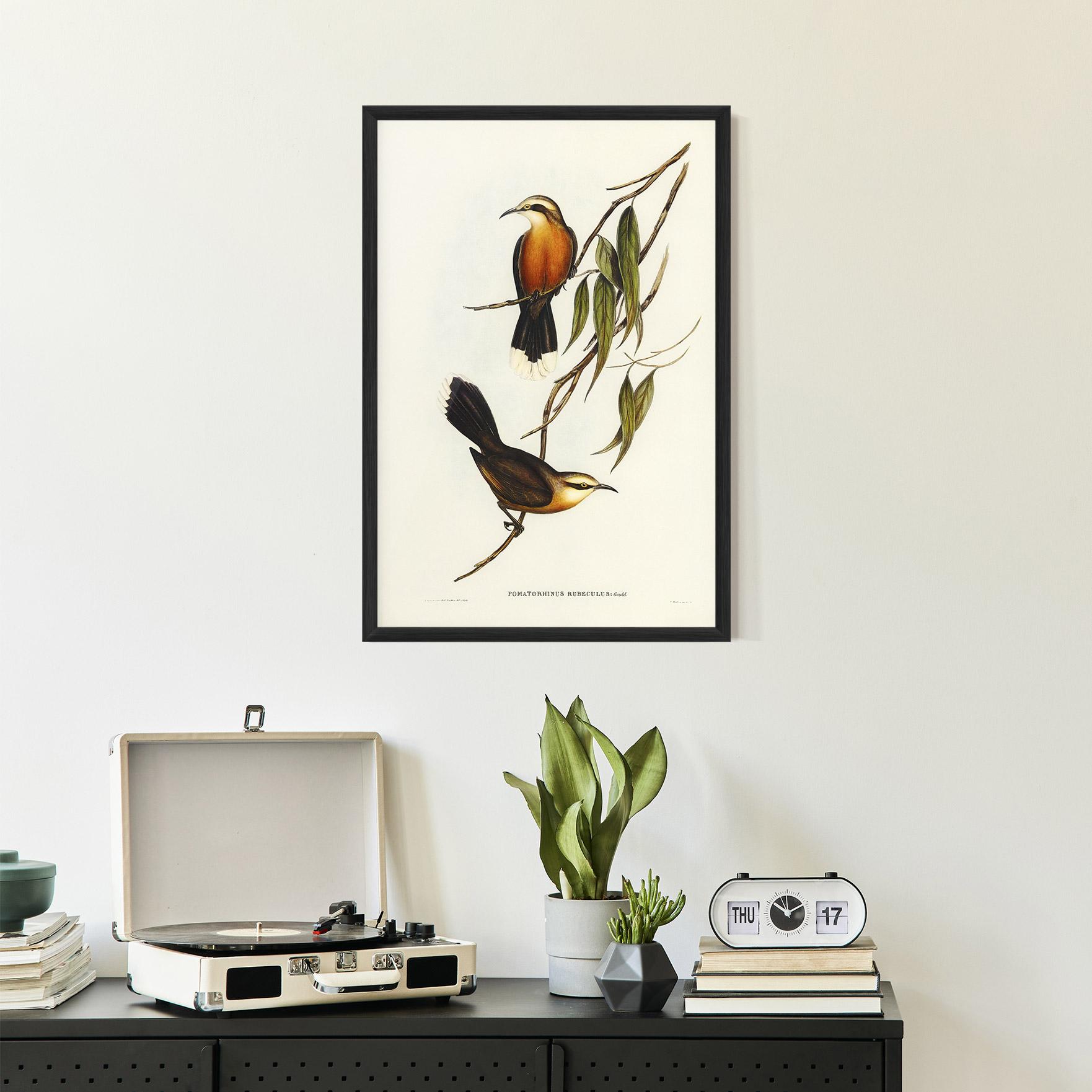 Keretezett Poszter Red Pomatorhinus mockup 2