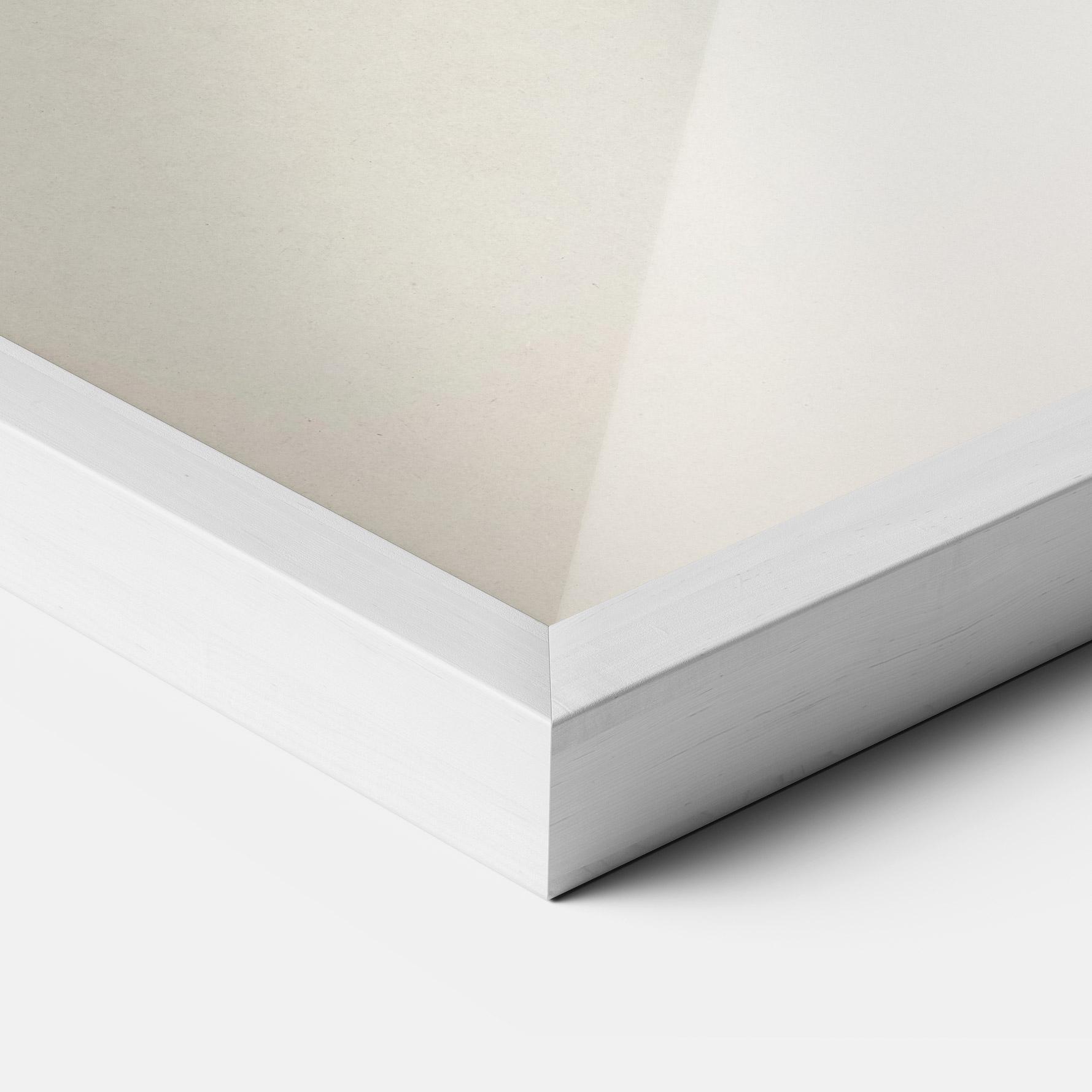 Keretezett Poszter Astur Gentilis mockup 3