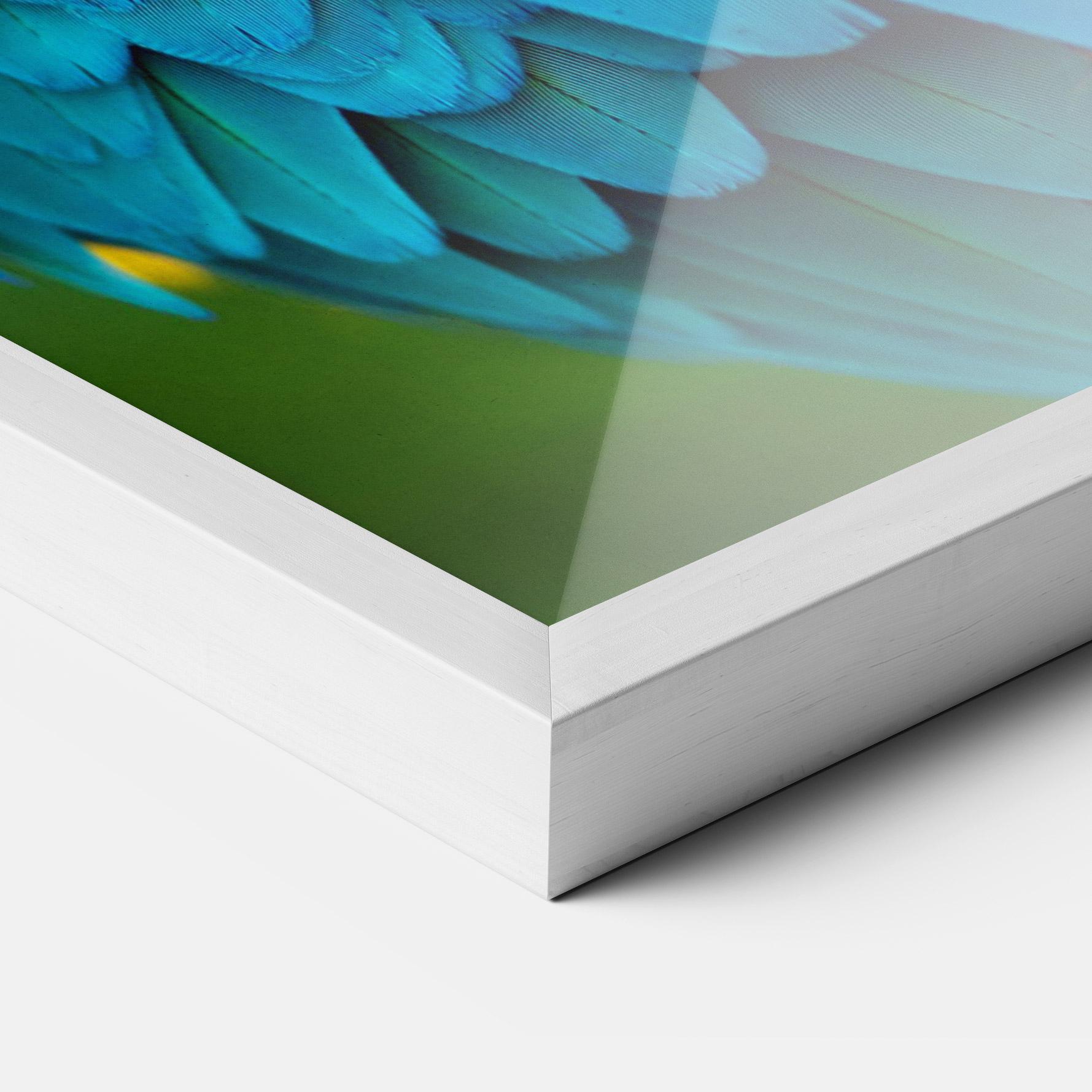 Keretezett Poszter Blue Parrot mockup 3