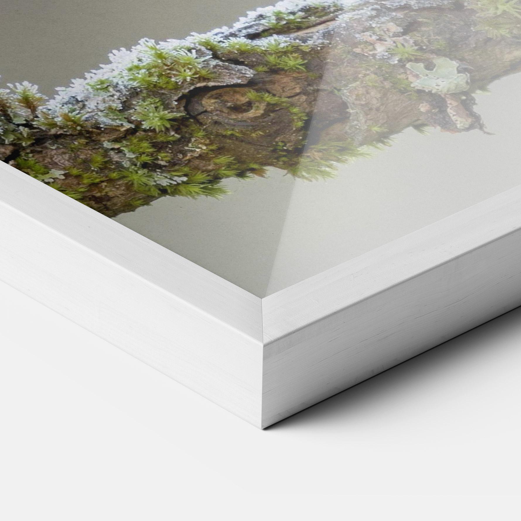 Keretezett Poszter Erithacus Bird mockup 3