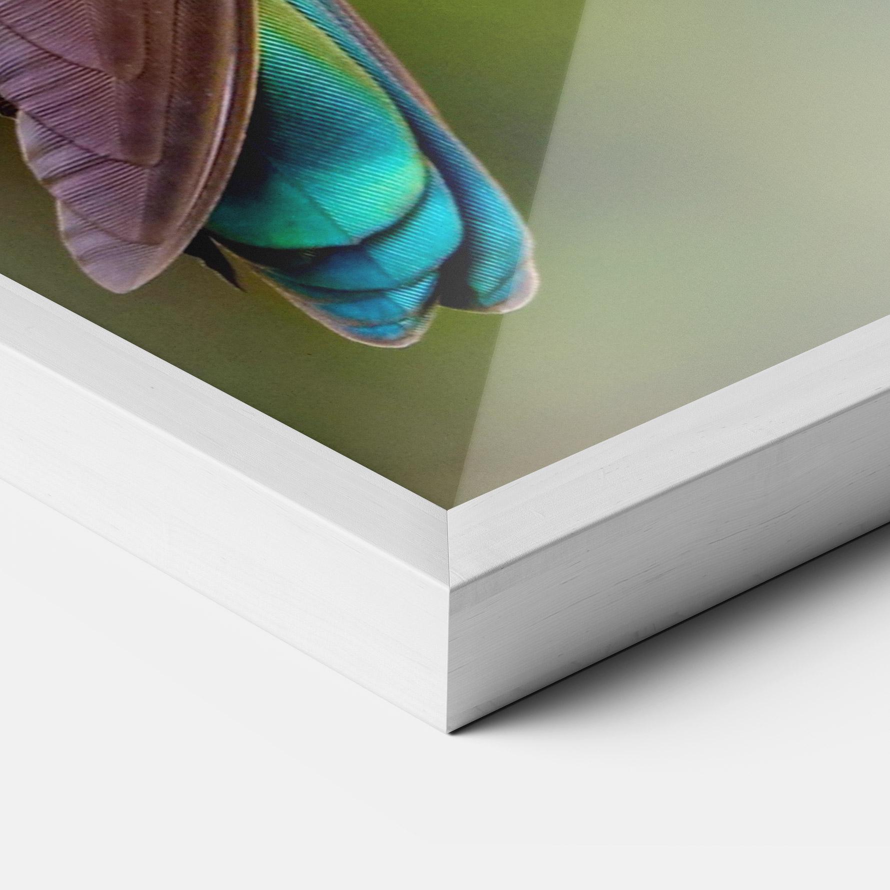 Keretezett Poszter Green Bird mockup 3