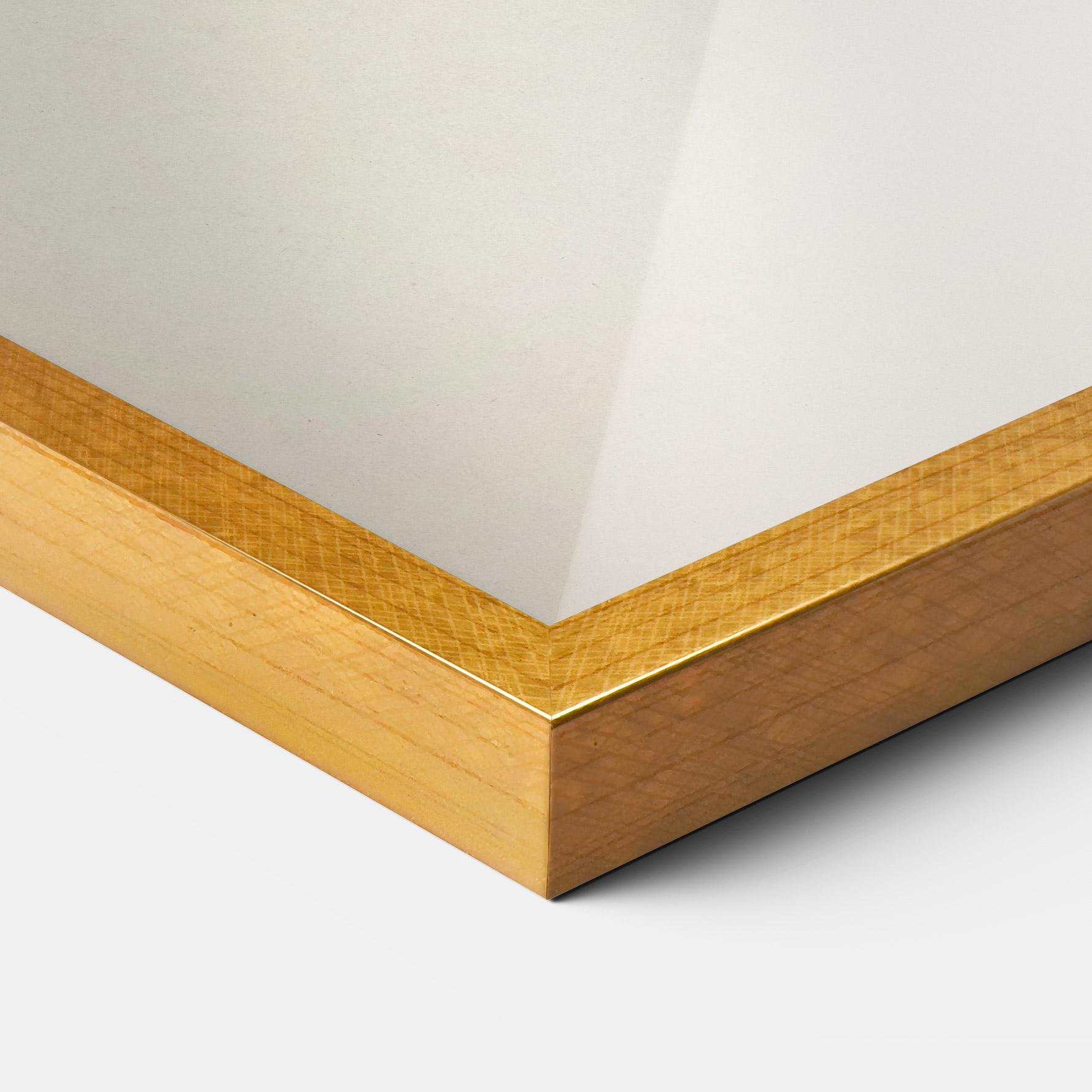 Keretezett Poszter Astur Gentilis mockup 3