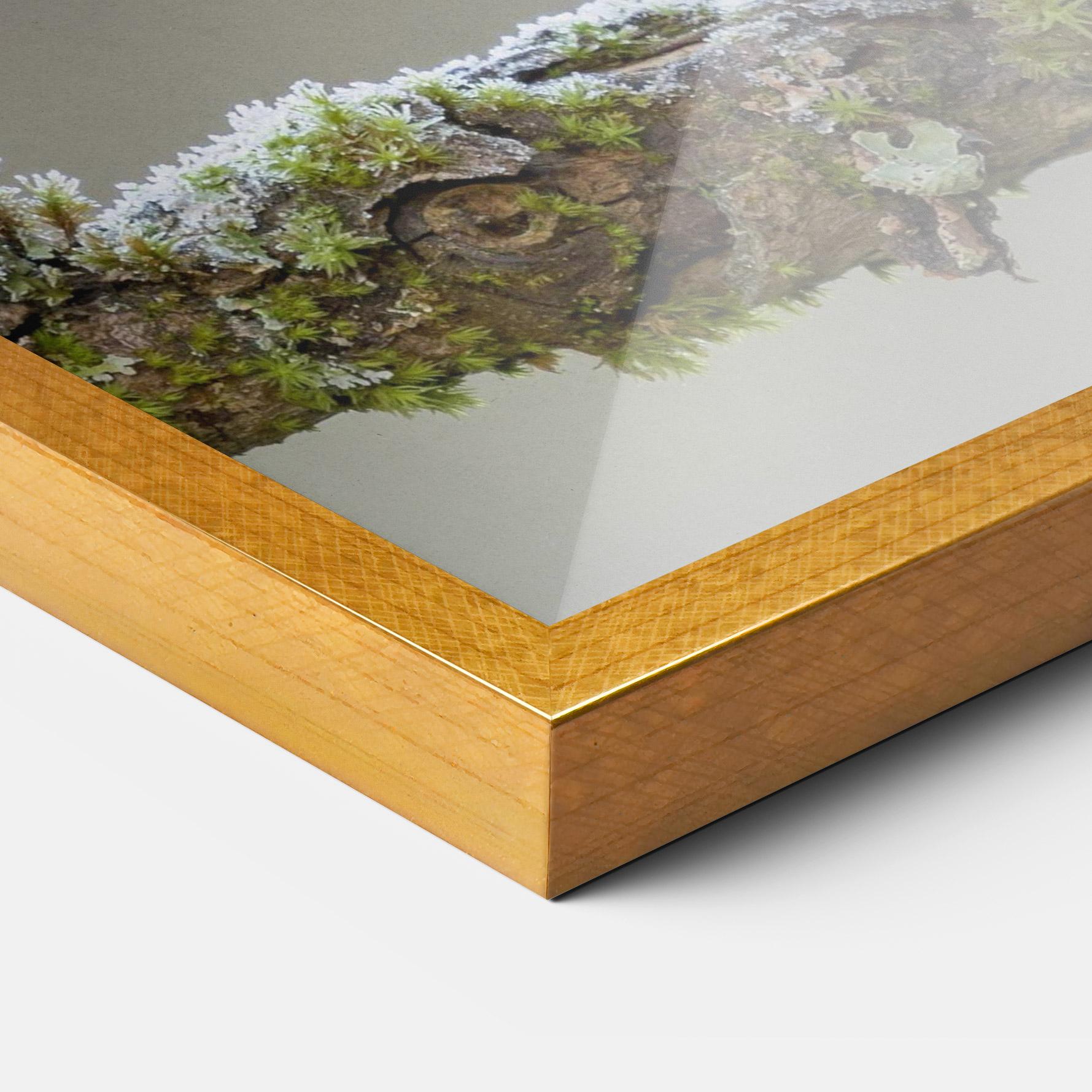 Keretezett Poszter Erithacus Bird mockup 3