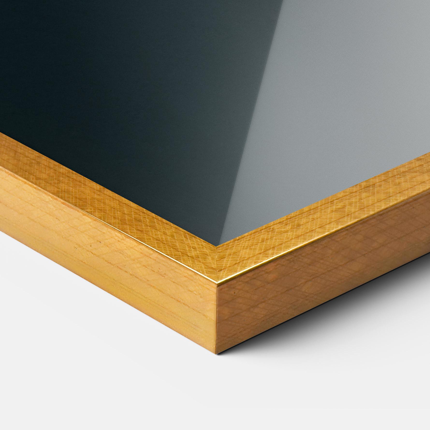 Keretezett Poszter Fire Parrot mockup 3