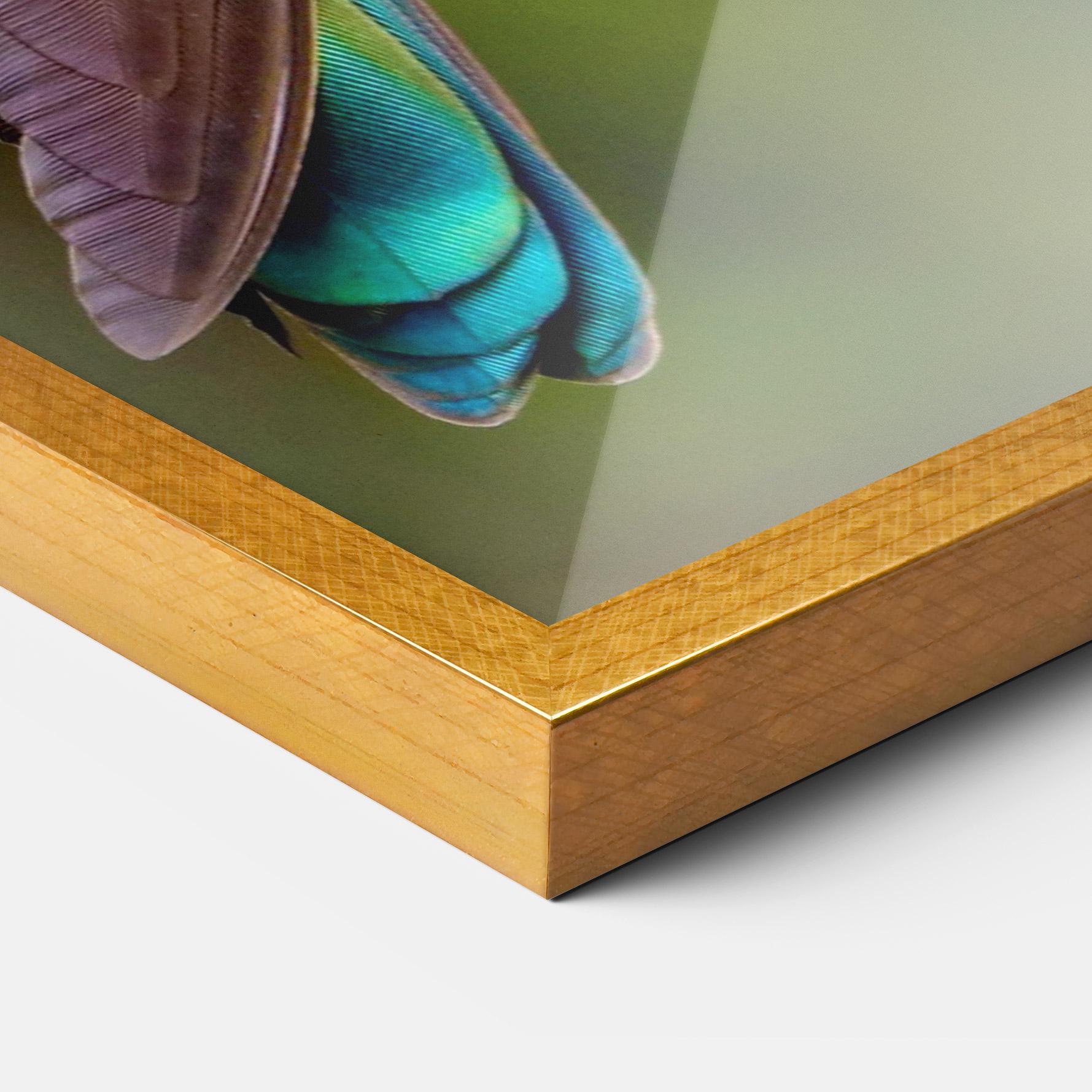 Keretezett Poszter Green Bird mockup 3