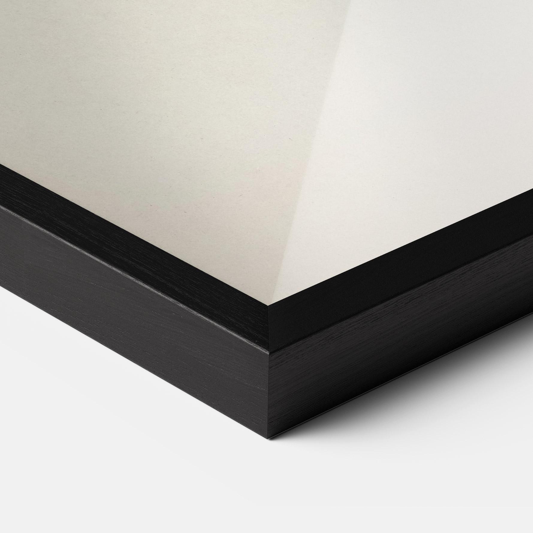 Keretezett Poszter Astur Gentilis mockup 3