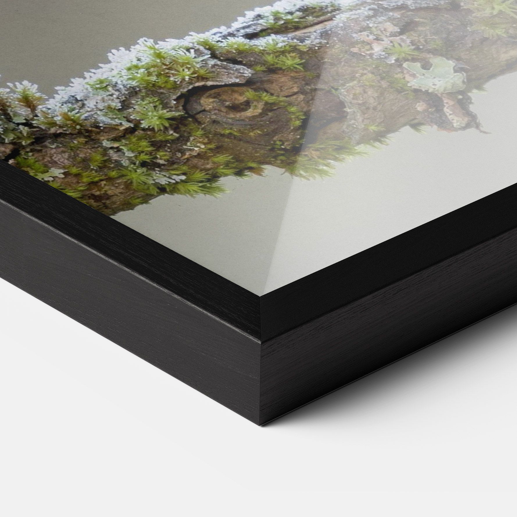 Erithacus Bird mockup 3