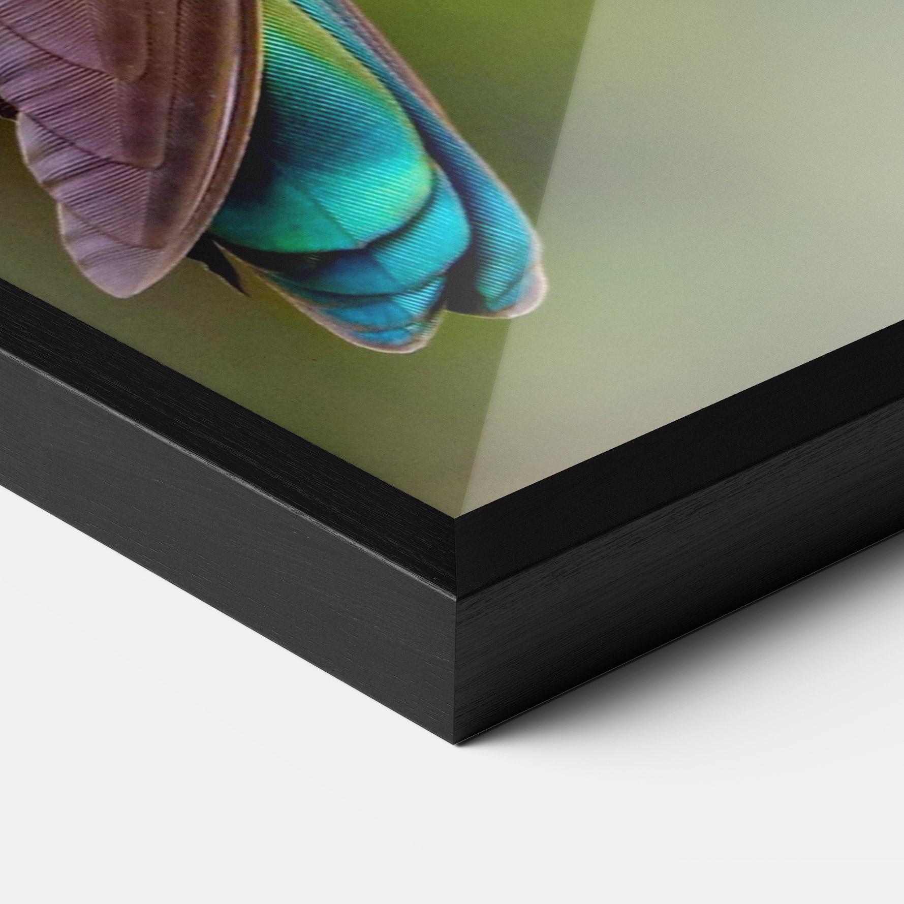 Keretezett Poszter Green Bird mockup 3