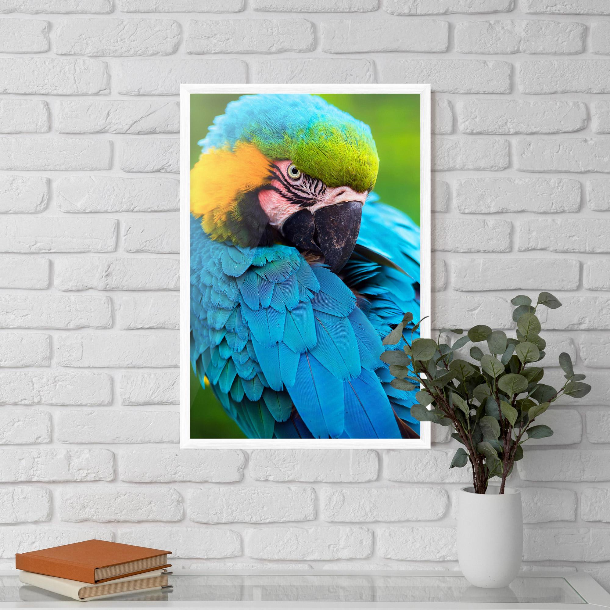 Keretezett Poszter Blue Parrot mockup 5