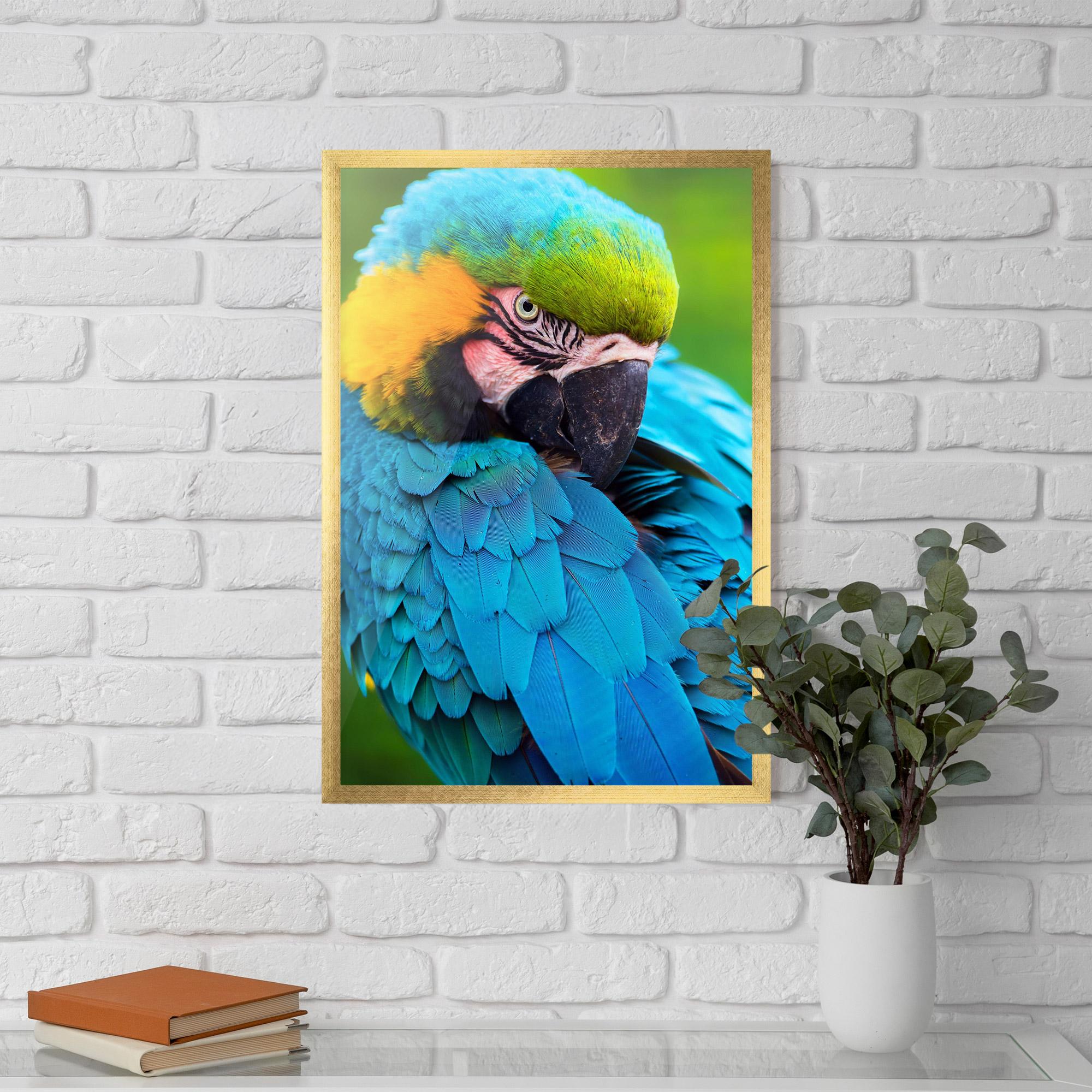 Keretezett Poszter Blue Parrot mockup 5