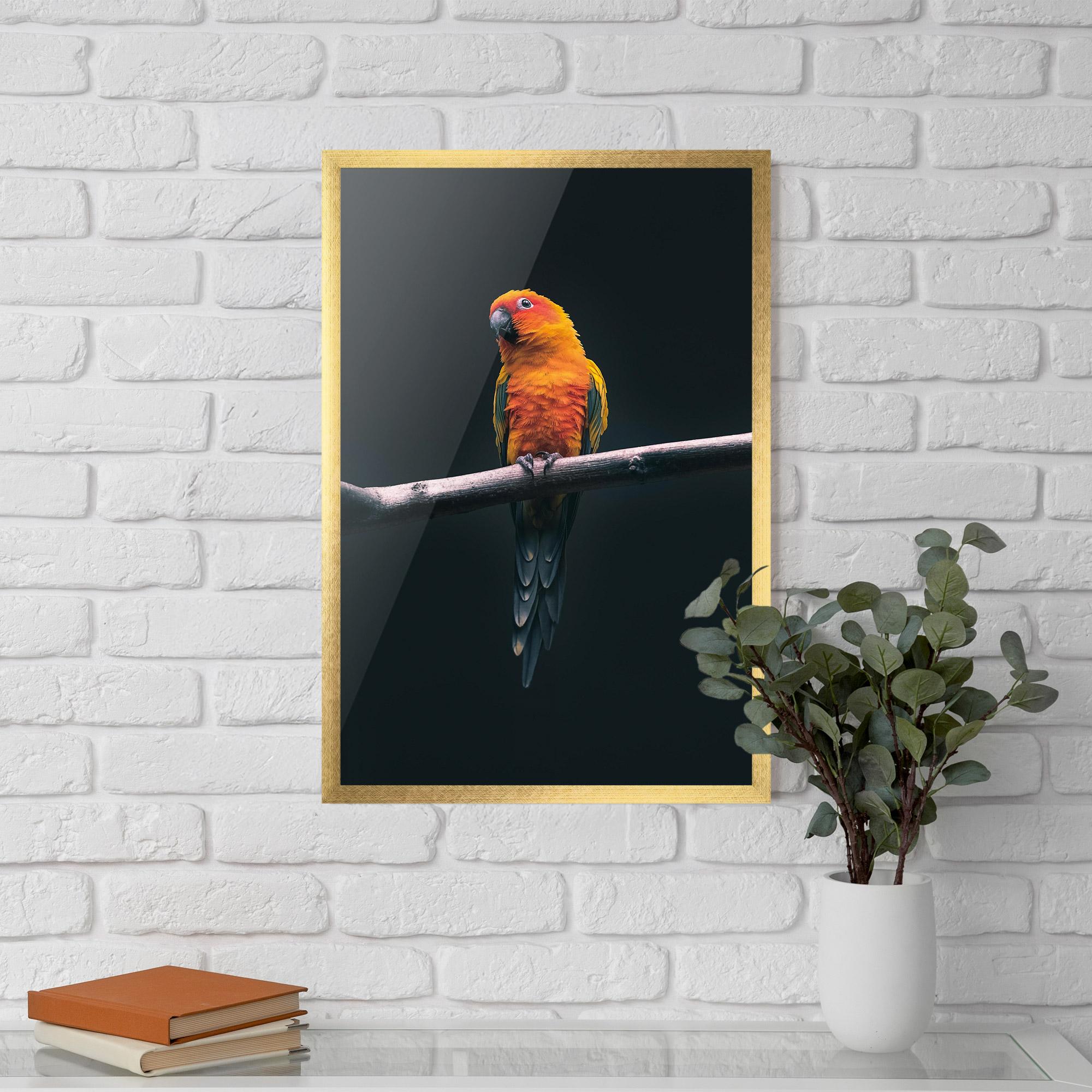 Keretezett Poszter Fire Parrot mockup 5