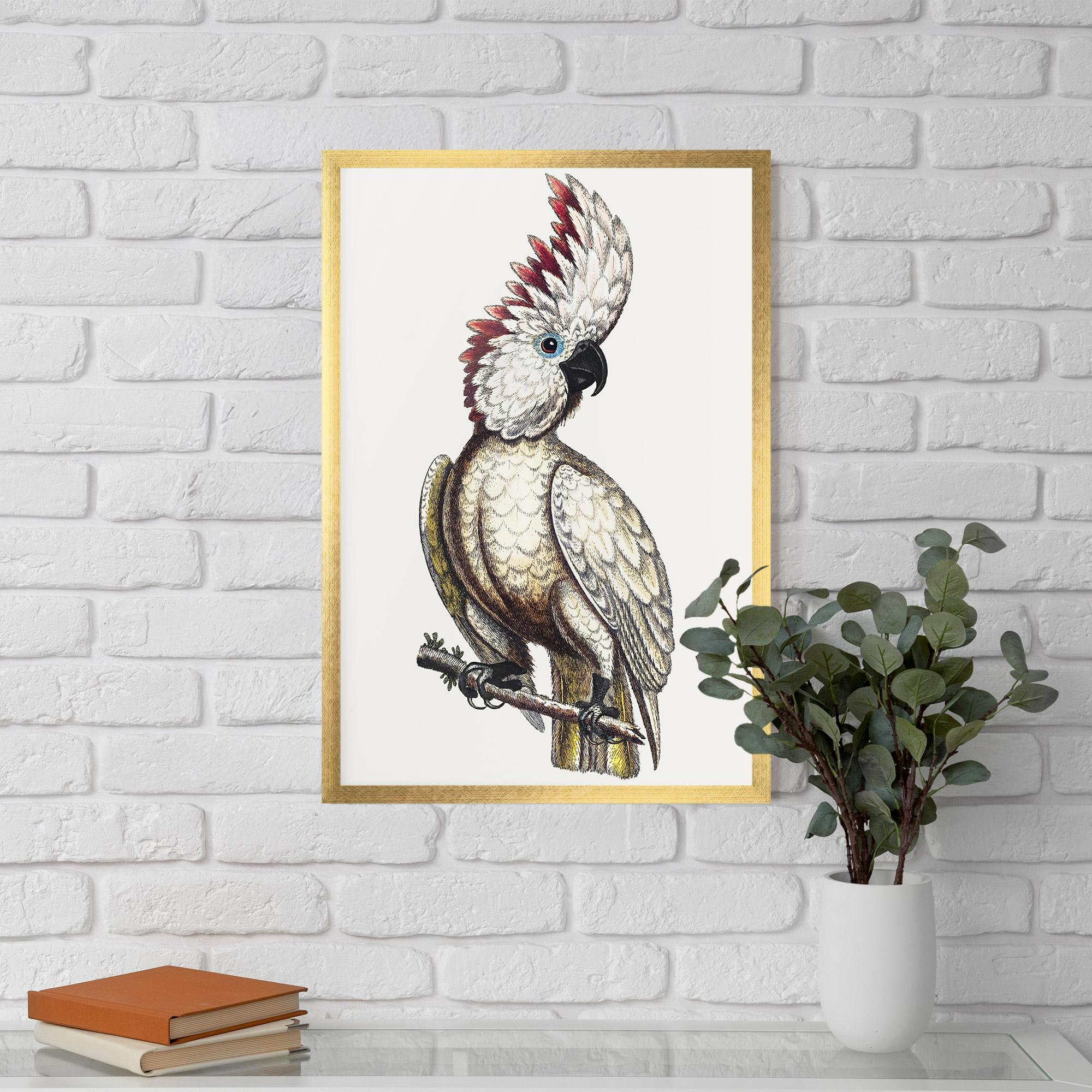 Keretezett Poszter Interesting Bird mockup 5