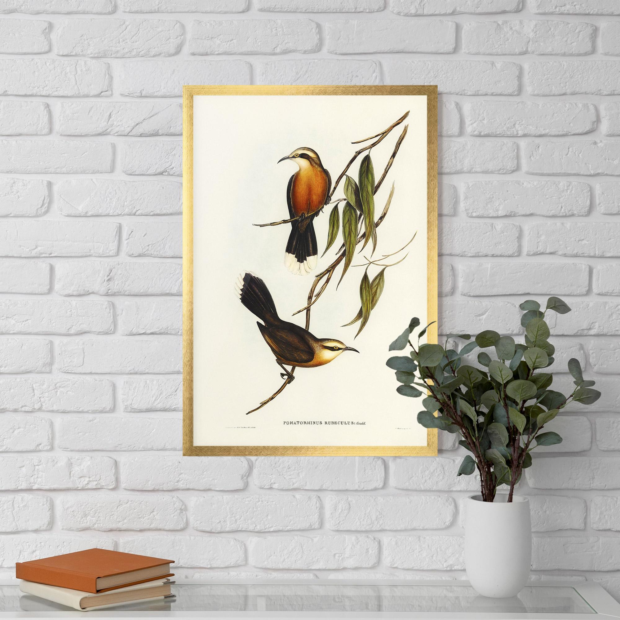 Keretezett Poszter Red Pomatorhinus mockup 5