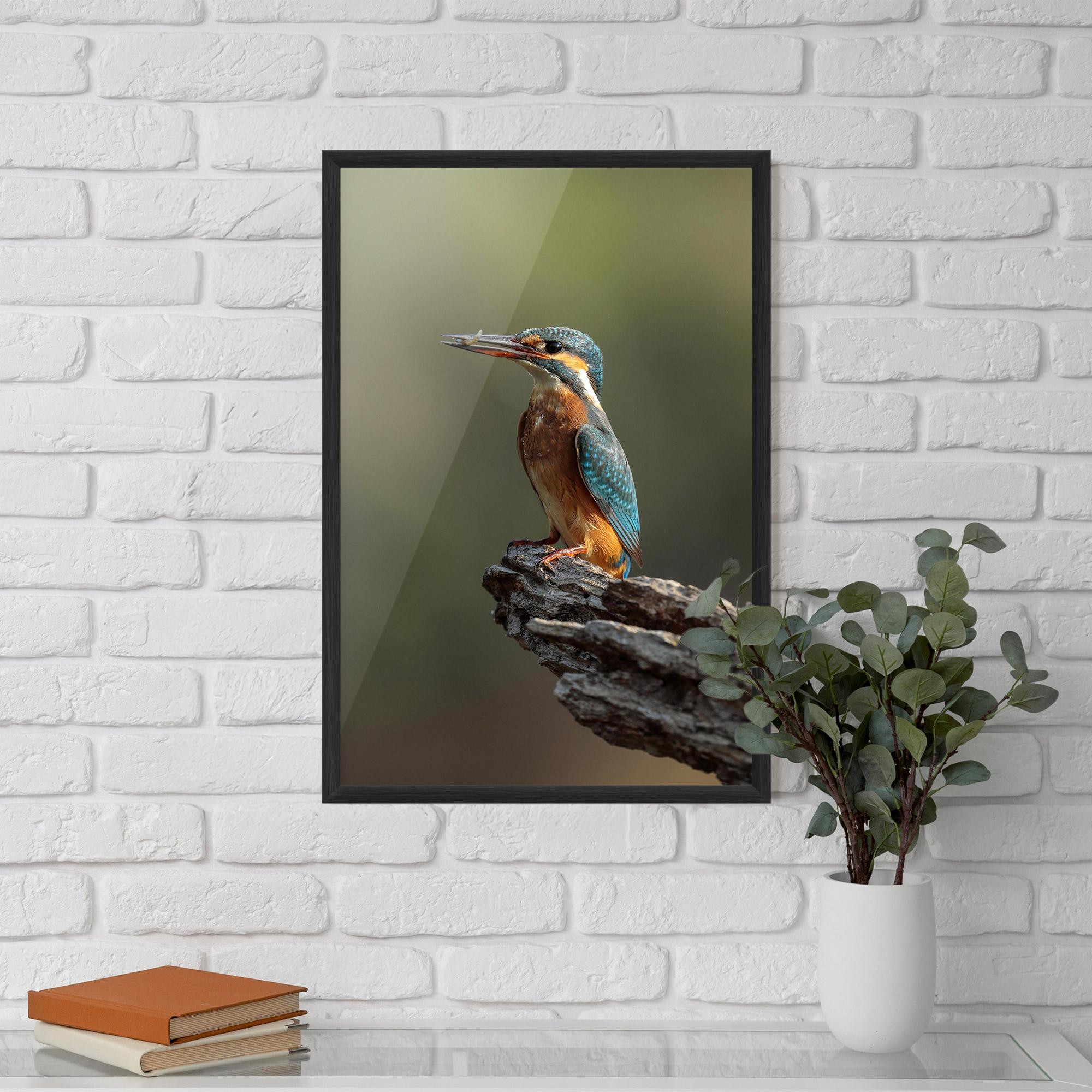 Keretezett Poszter Female Kingfisher mockup 5
