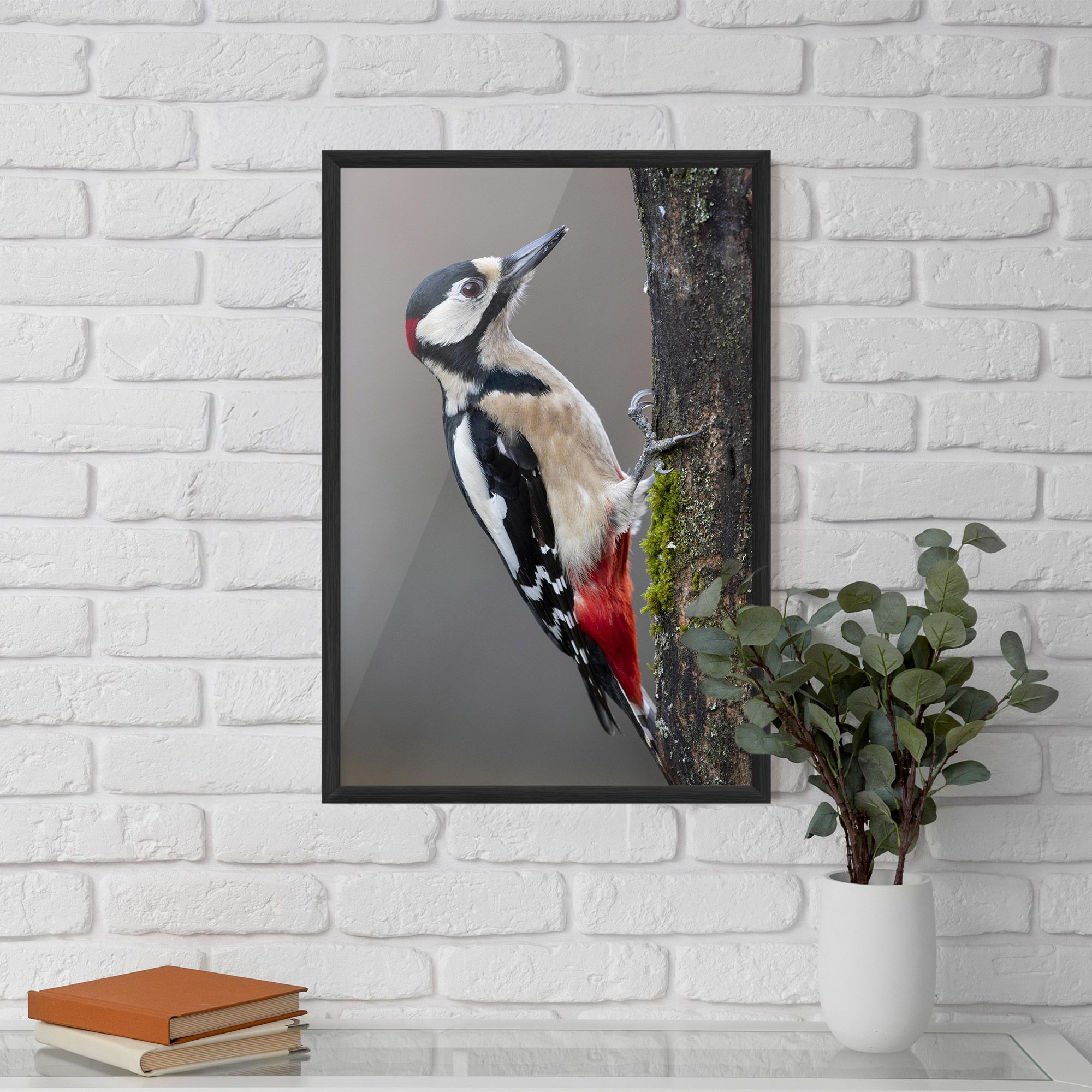 Woodpecker mockup 5