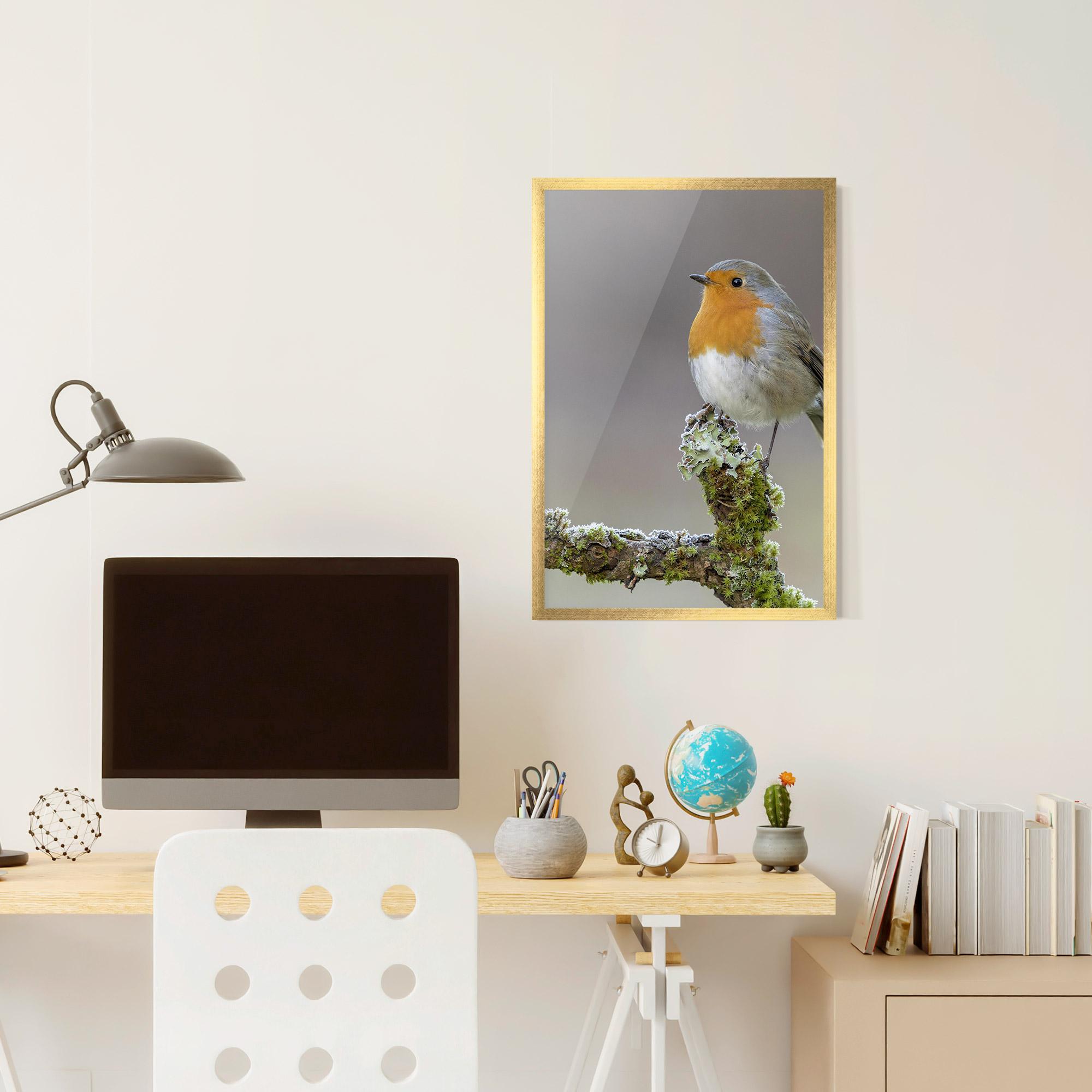 Keretezett Poszter Erithacus Bird mockup 6