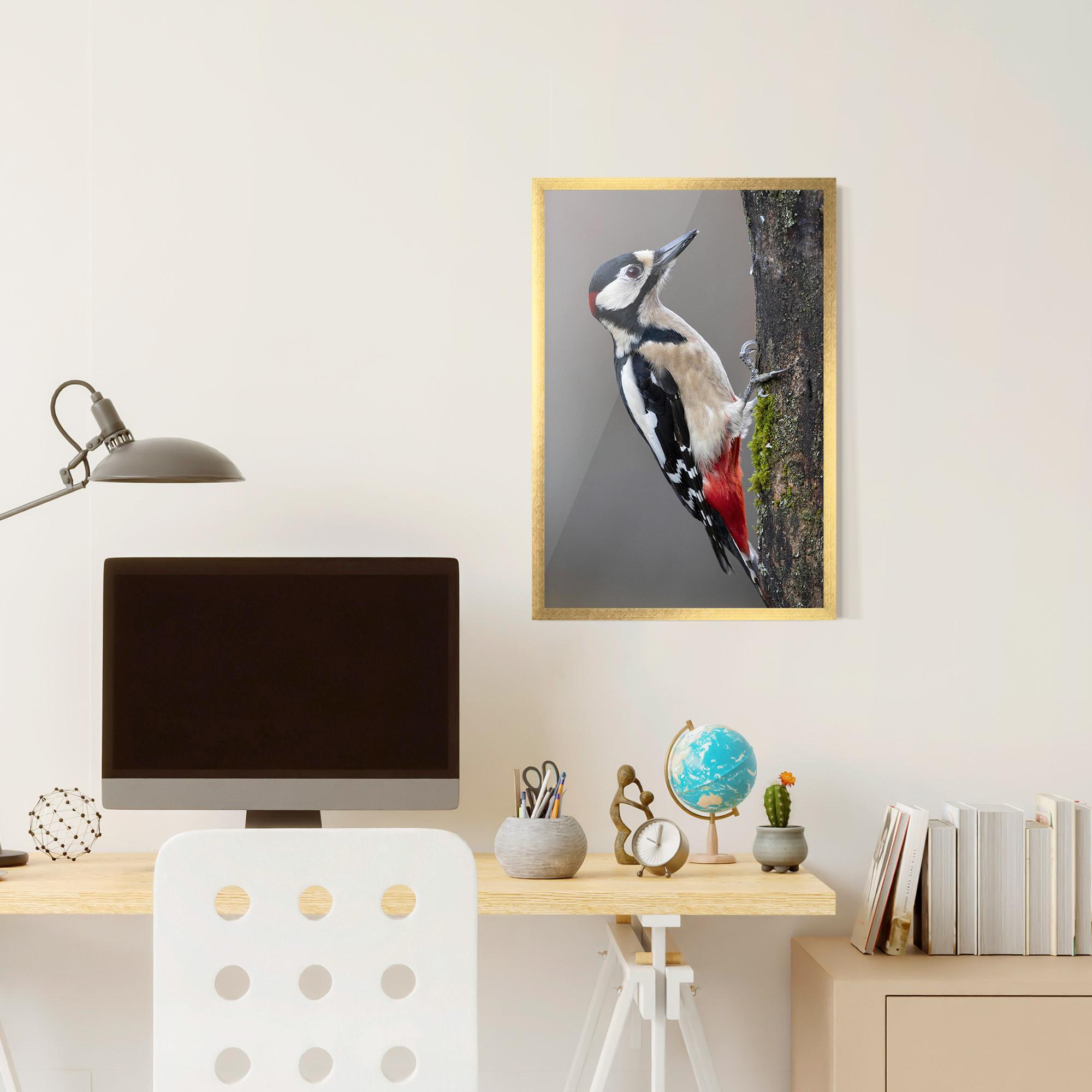 Keretezett Poszter Woodpecker mockup 6