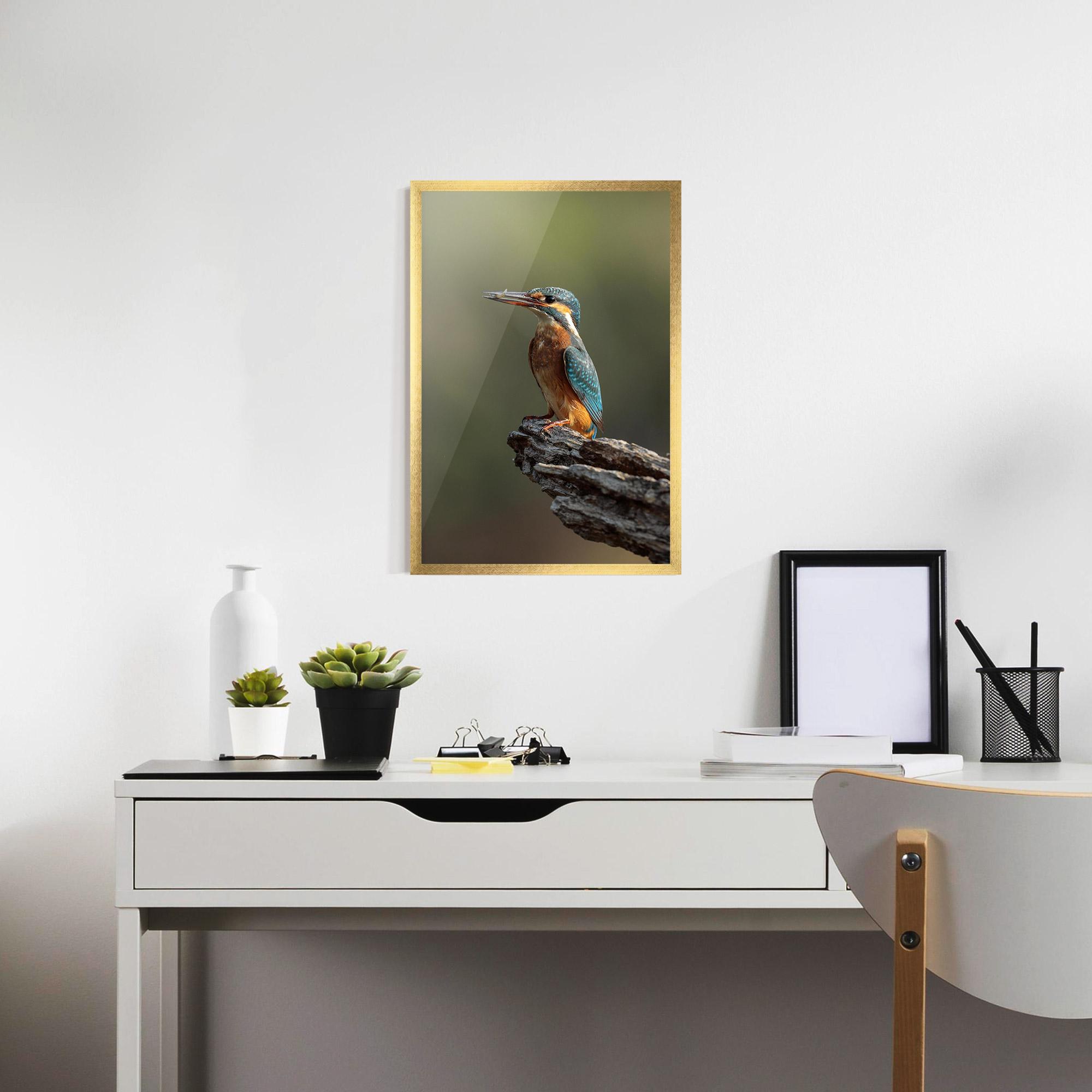 Keretezett Poszter Female Kingfisher mockup 7