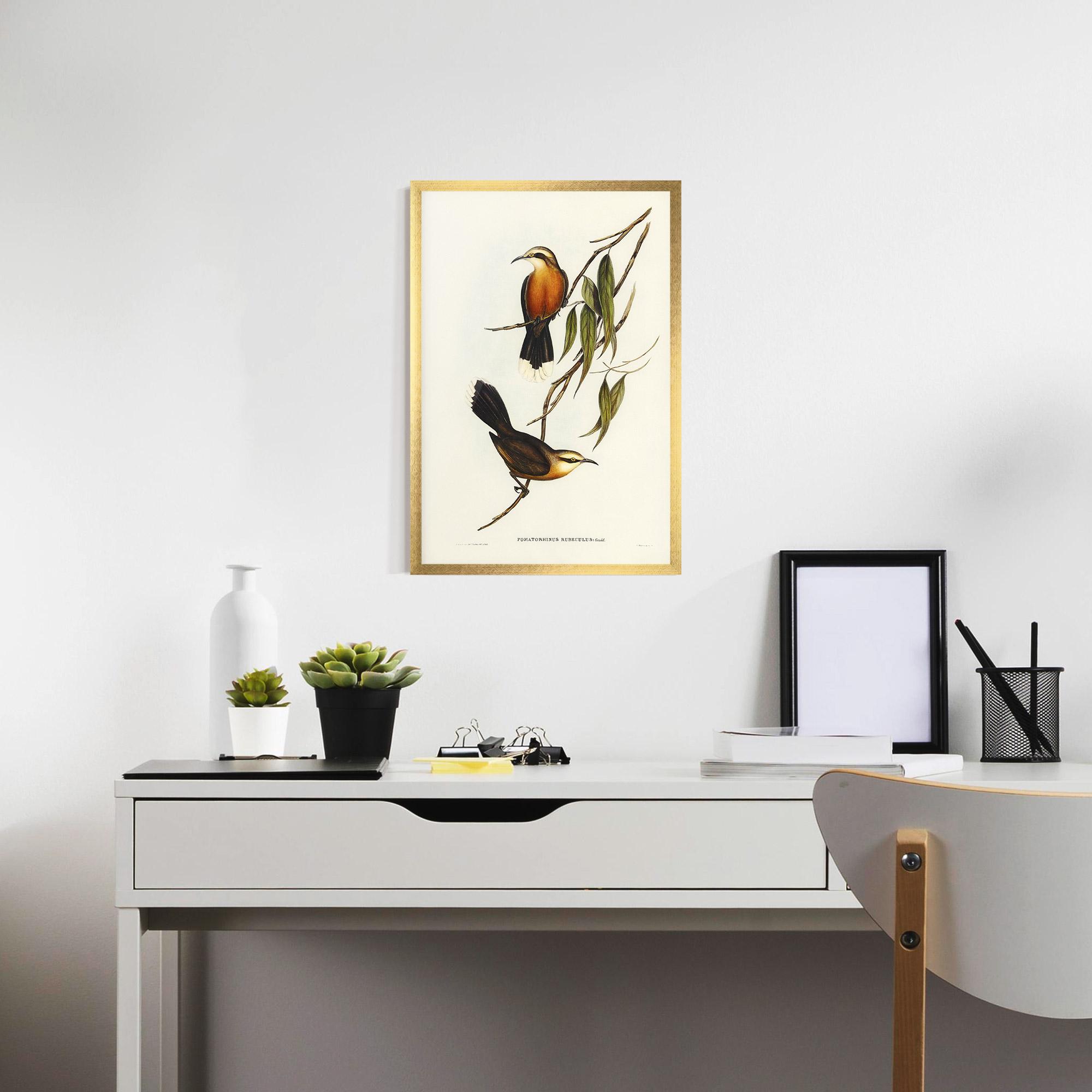 Keretezett Poszter Red Pomatorhinus mockup 7