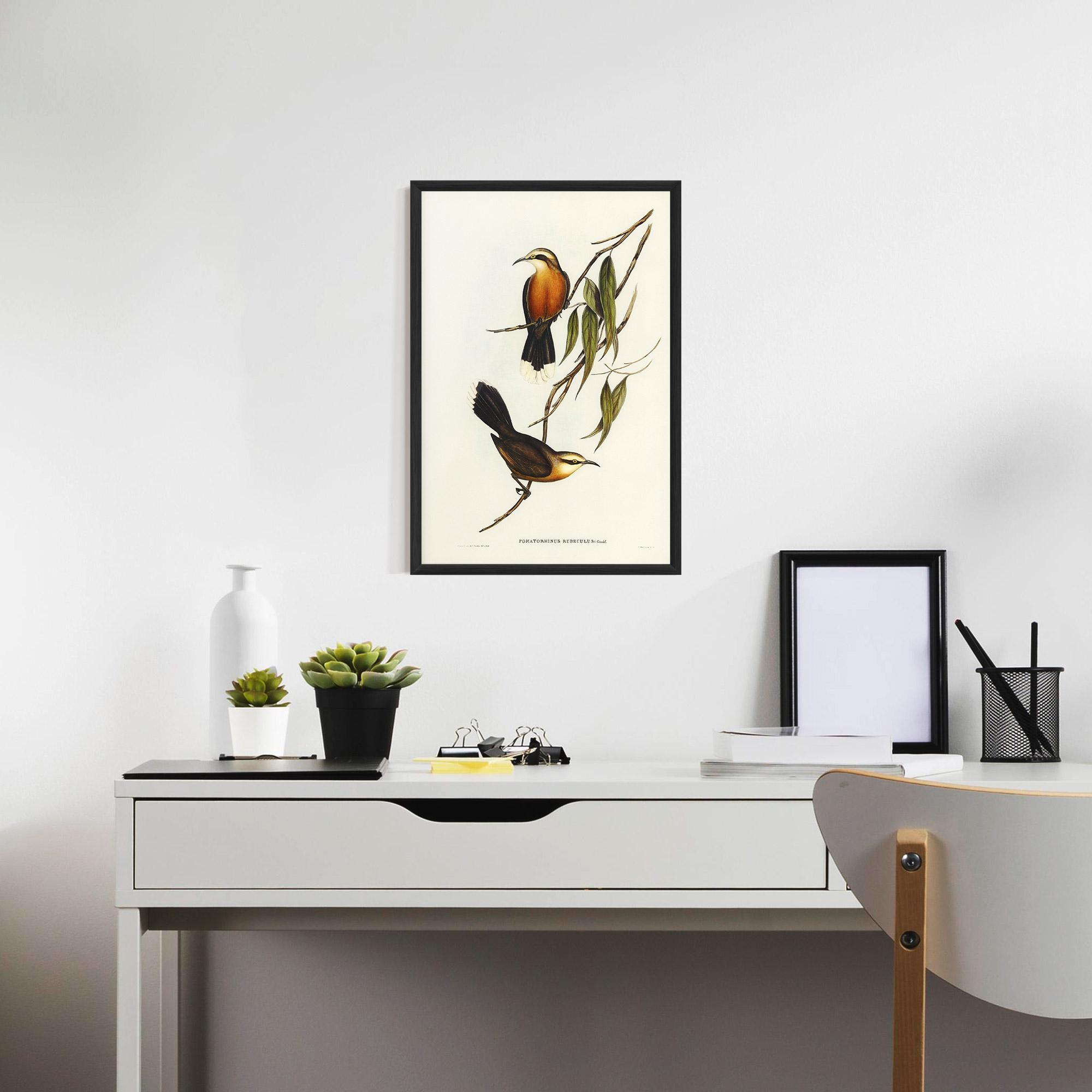 Keretezett Poszter Red Pomatorhinus mockup 7